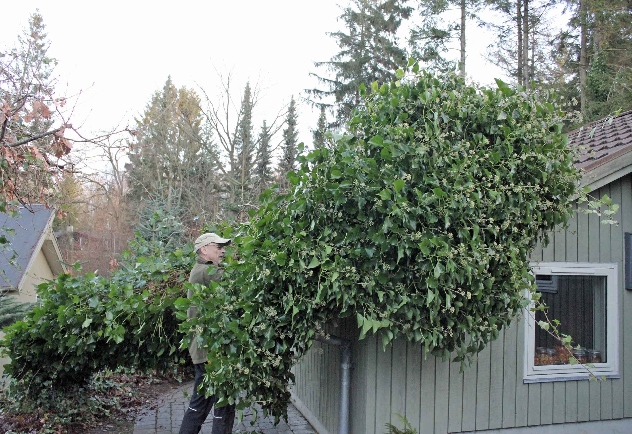 Næsten-skade