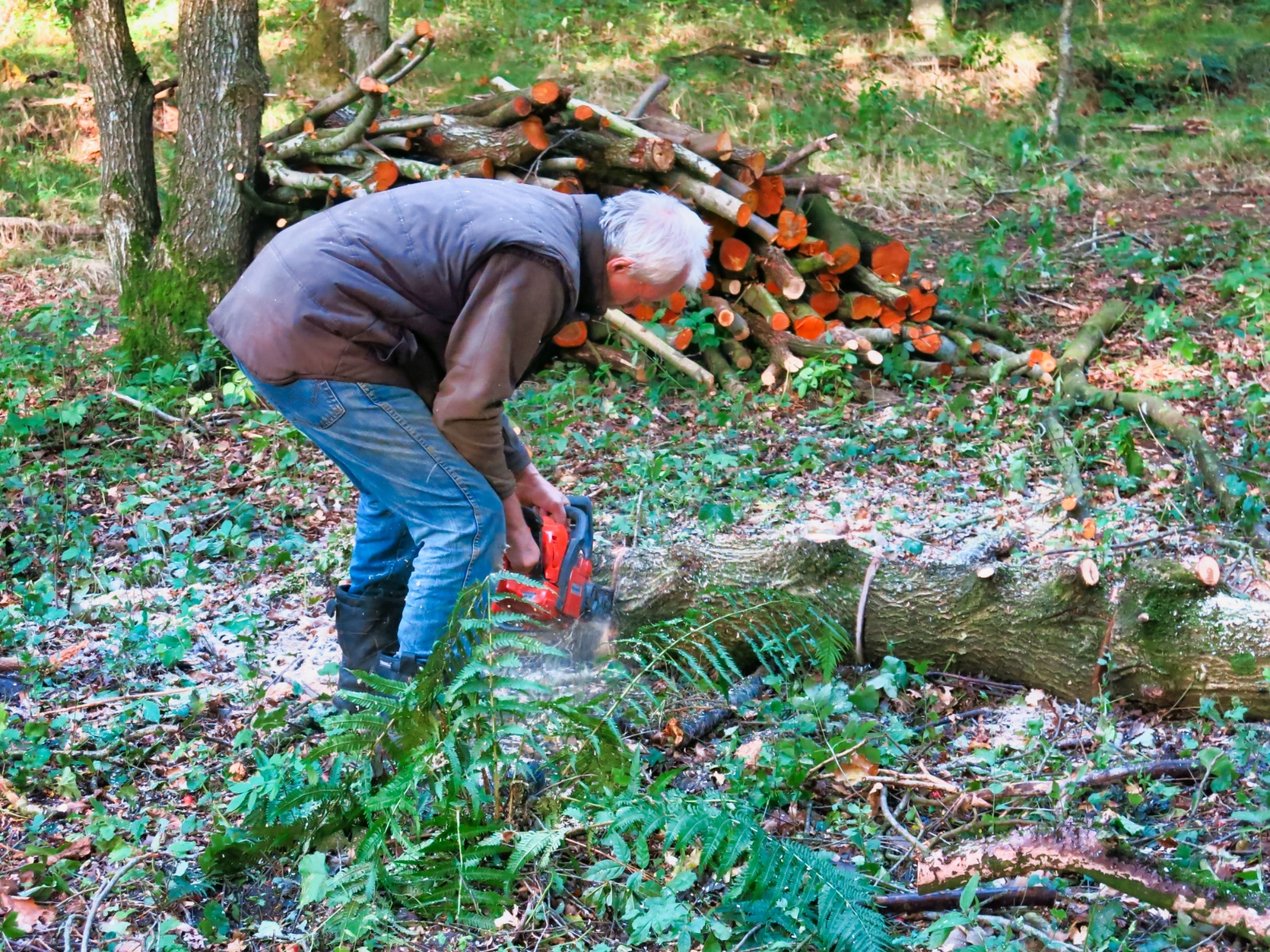 14. oktober - næste arbejdsdag