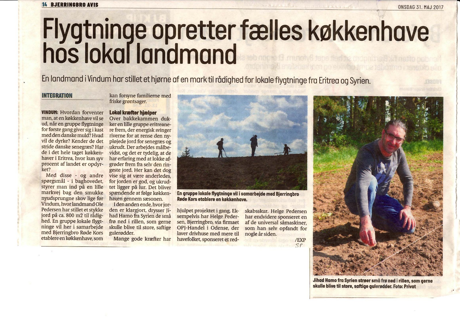 Køkkenhave