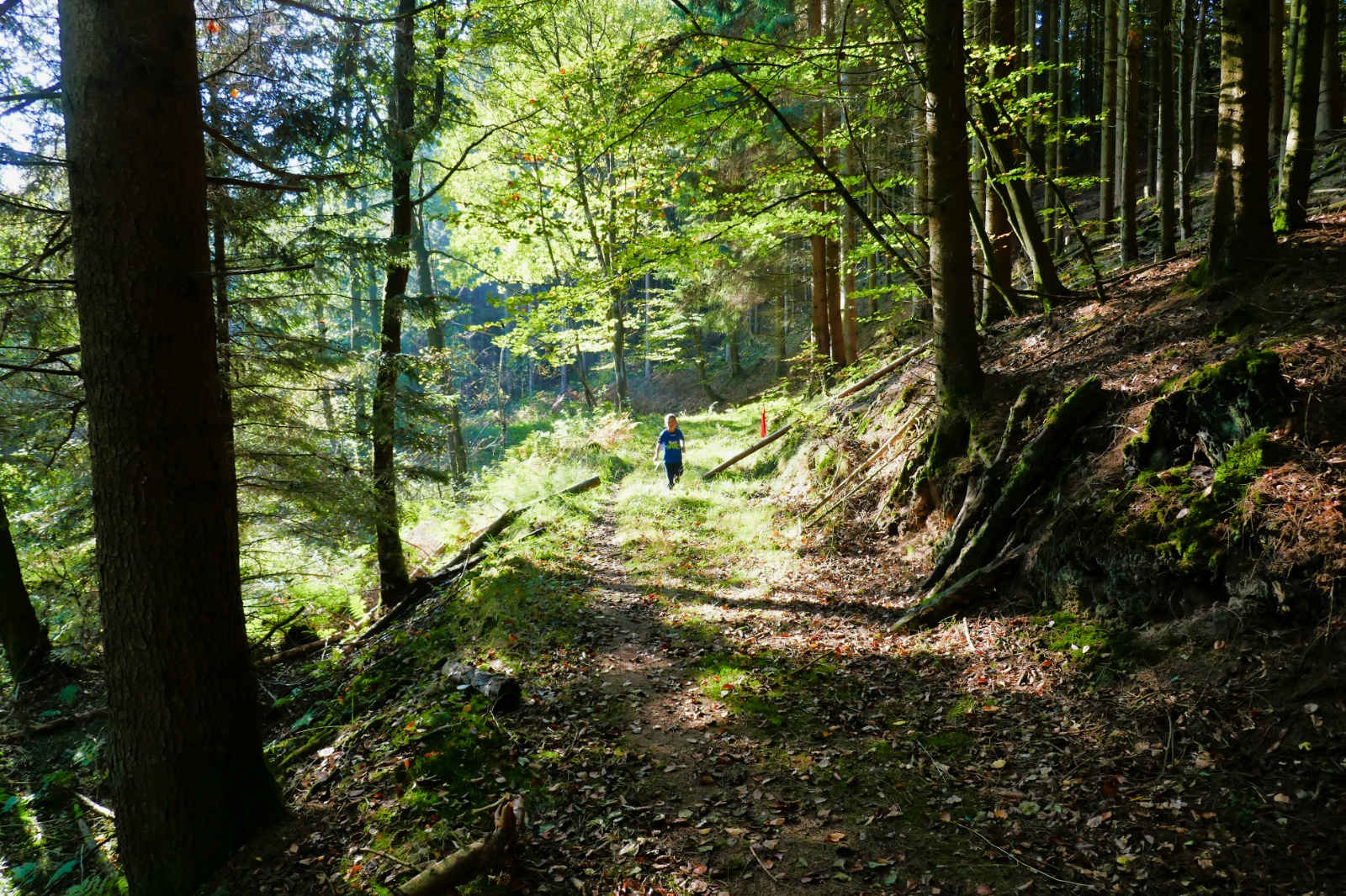 Skattejagt
