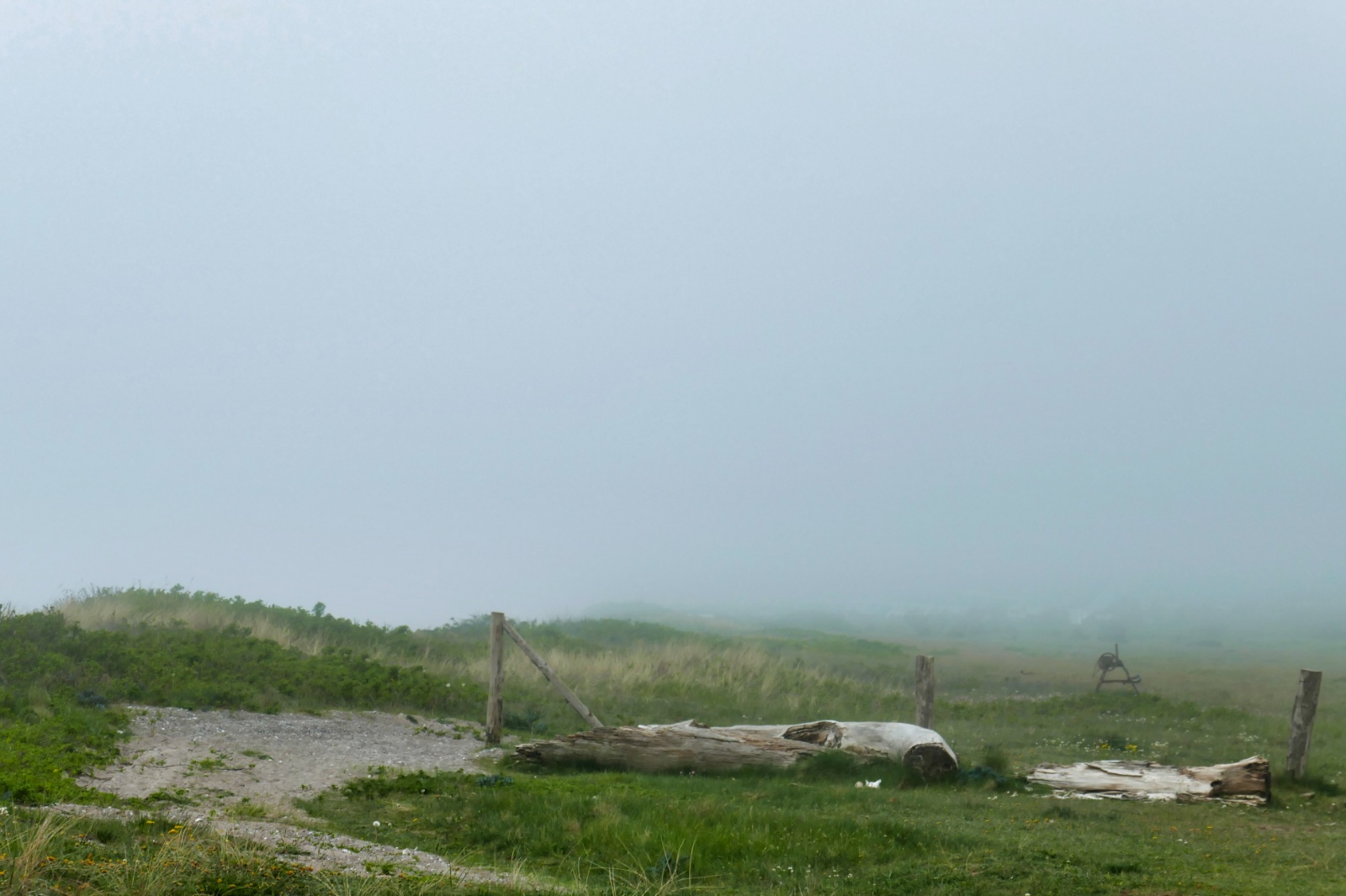 Ruggård strand