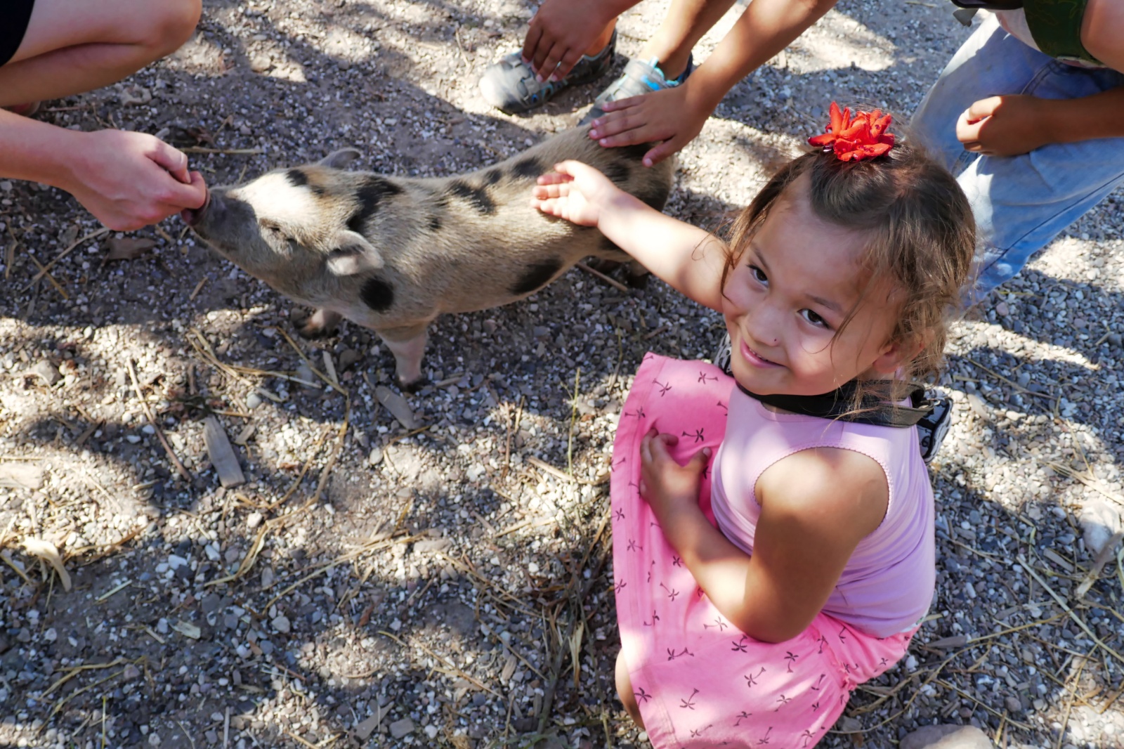 Ree Dyrepark 27. juli 2018