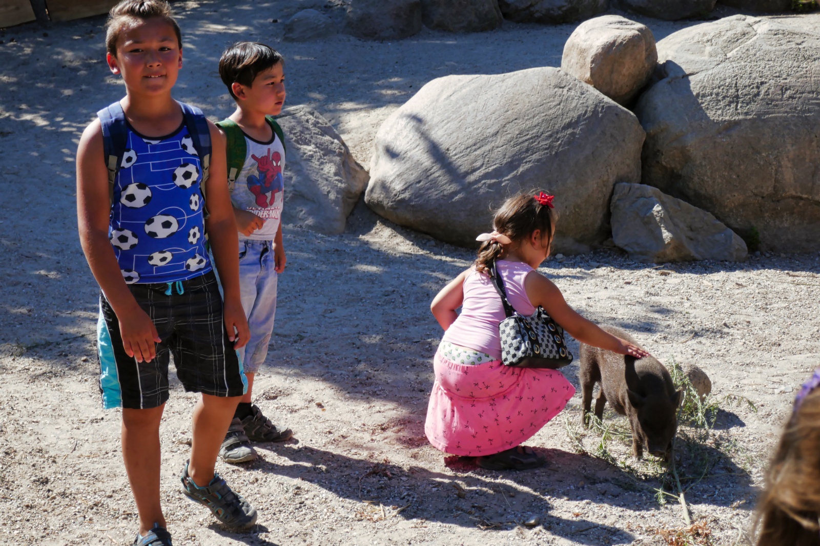 Ree Dyrepark 27. juli 2018