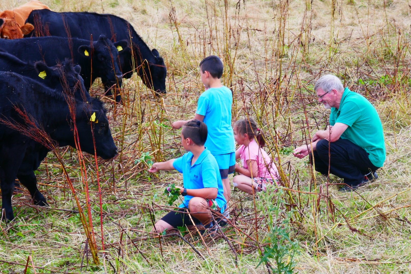 Andet - især børnebørnene