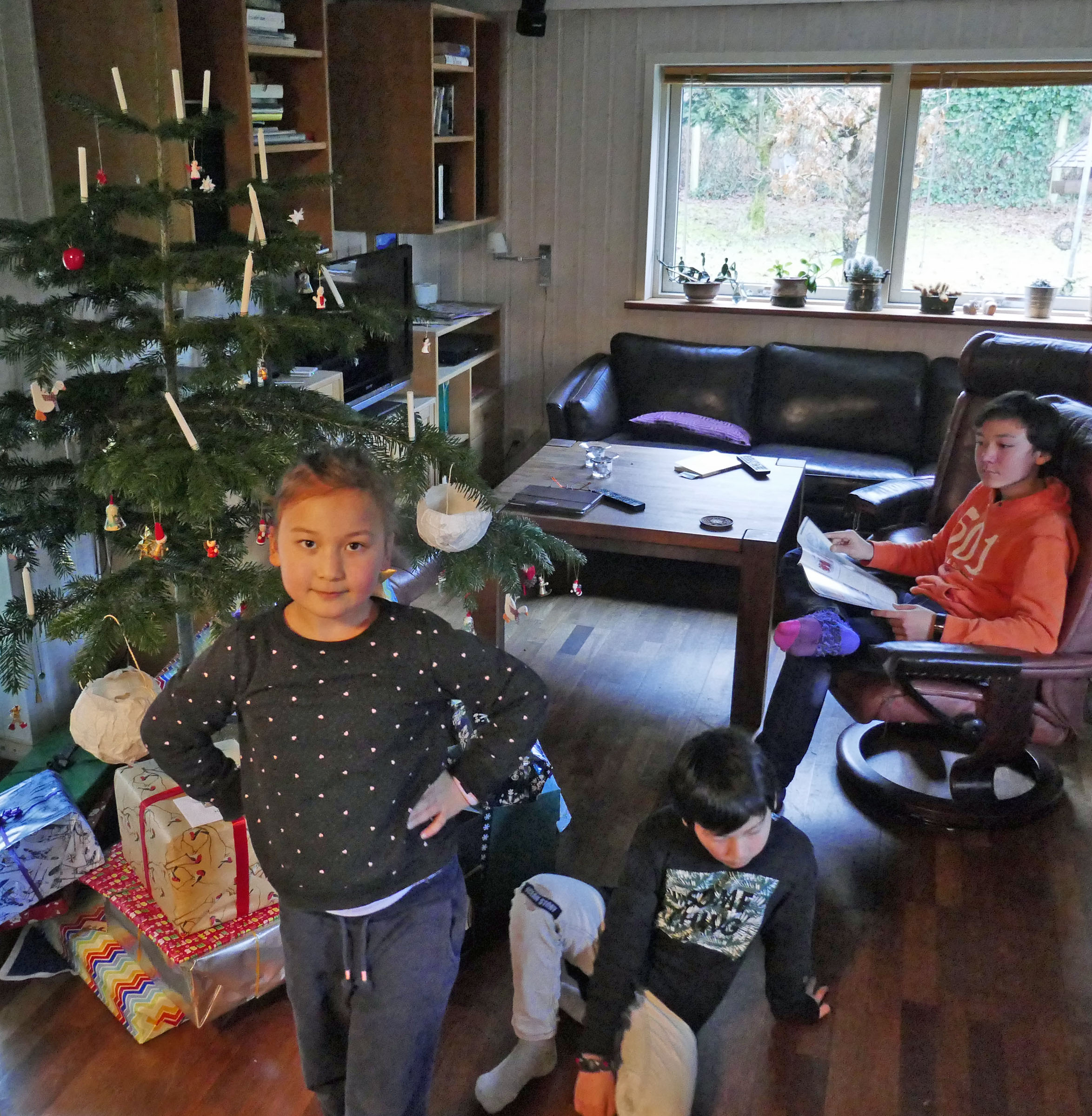 Juletræ