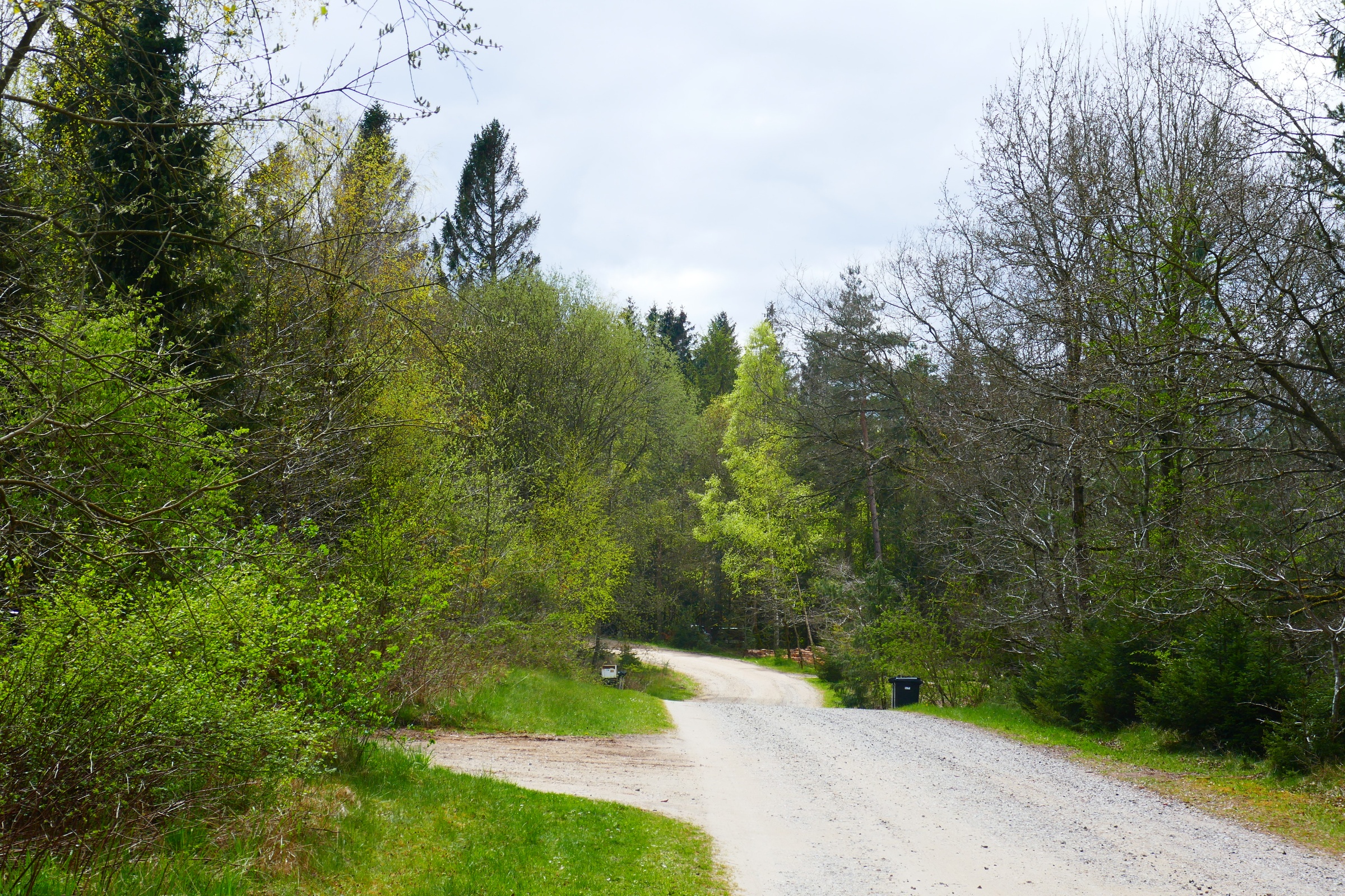 Skovagervej