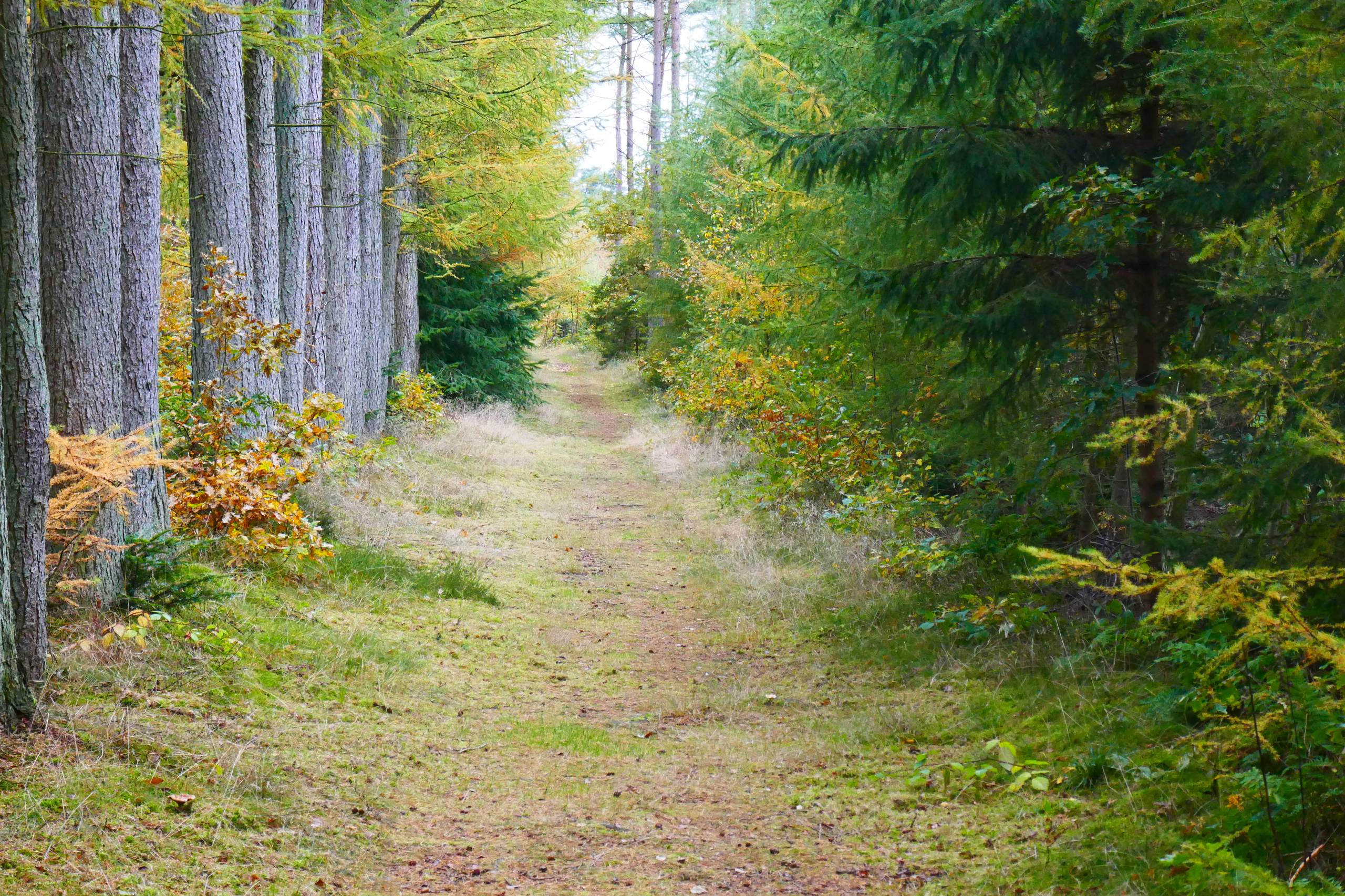 Gåtur i oktober