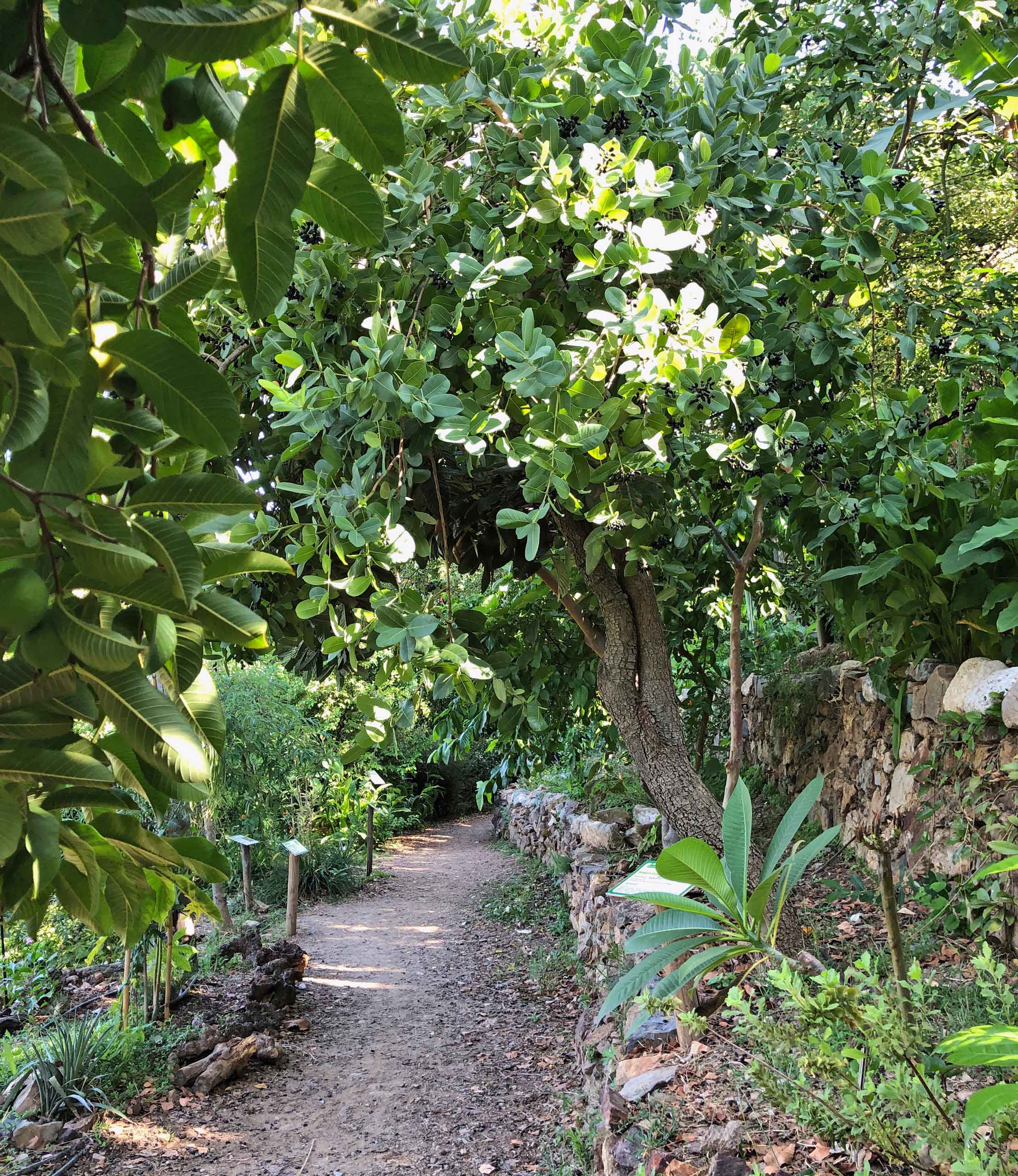 Botanisk Have