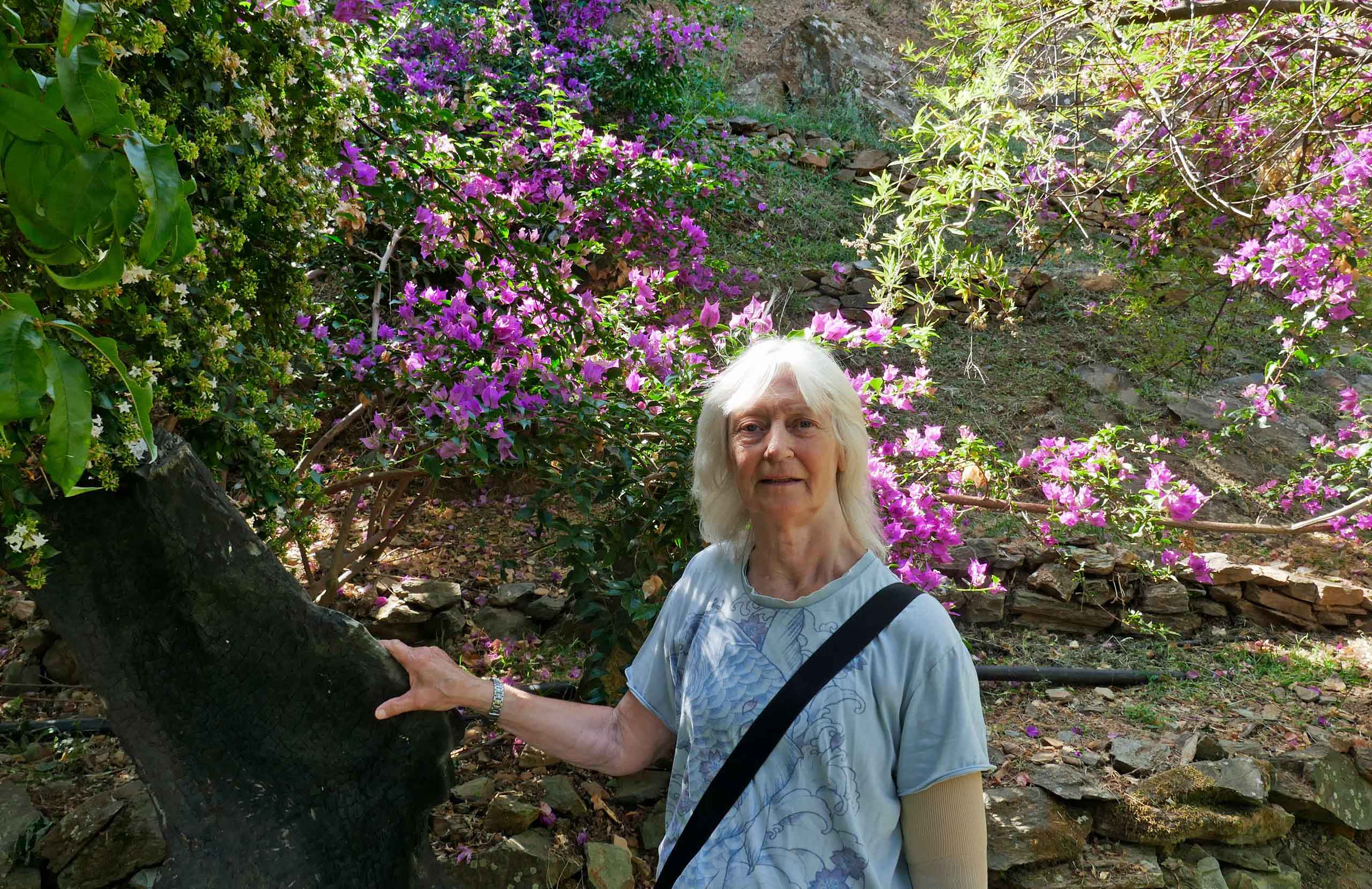 Botanisk Have