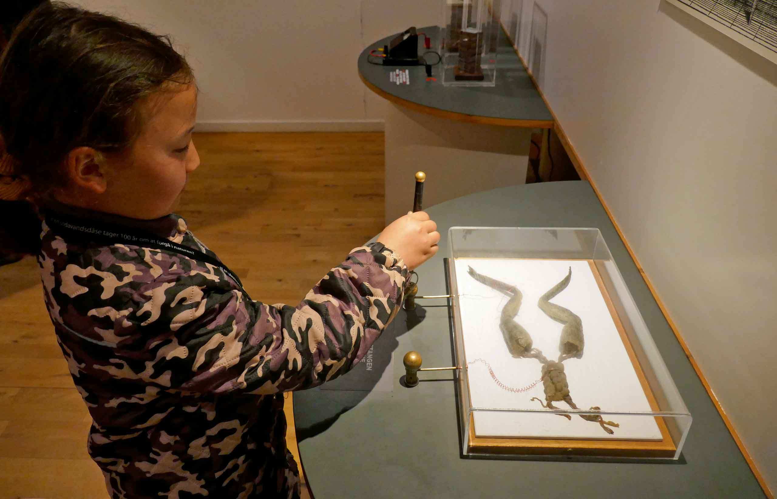Elmuseet