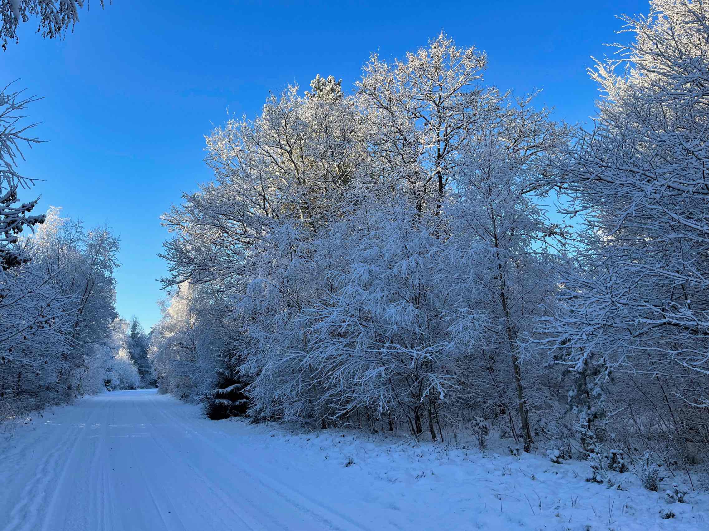 Vinter