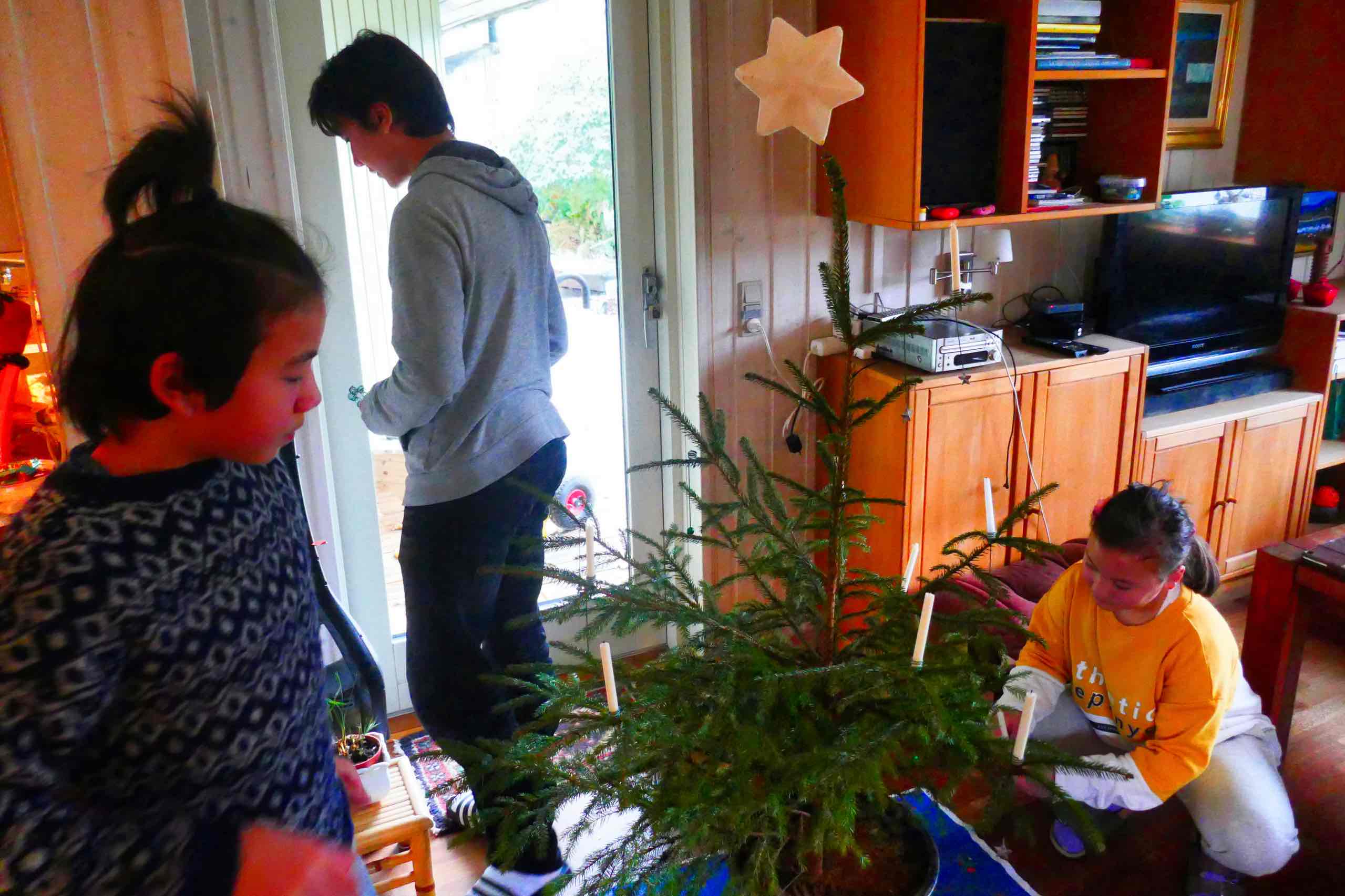 Juletræet pyntes