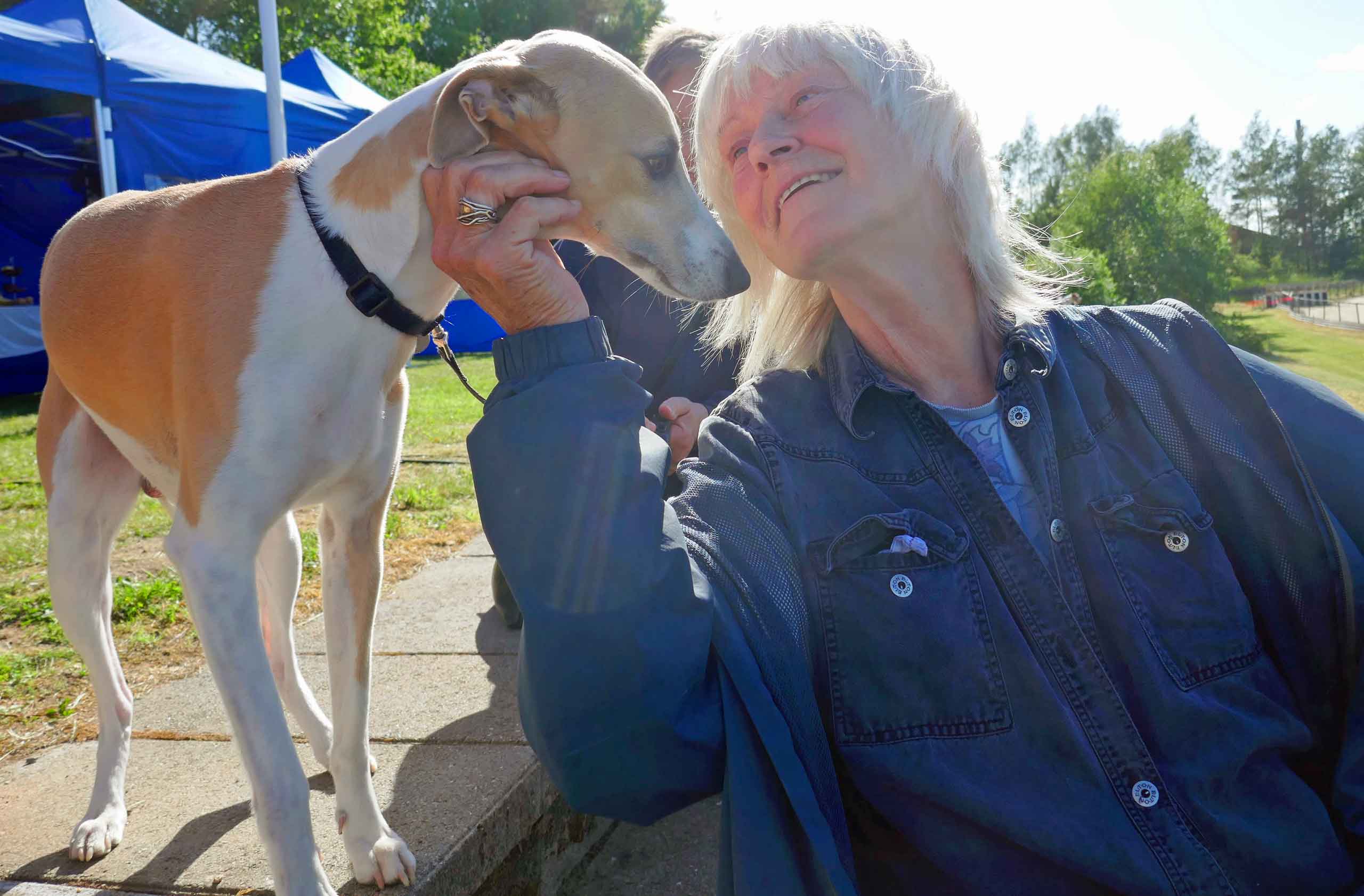 Søde hunde