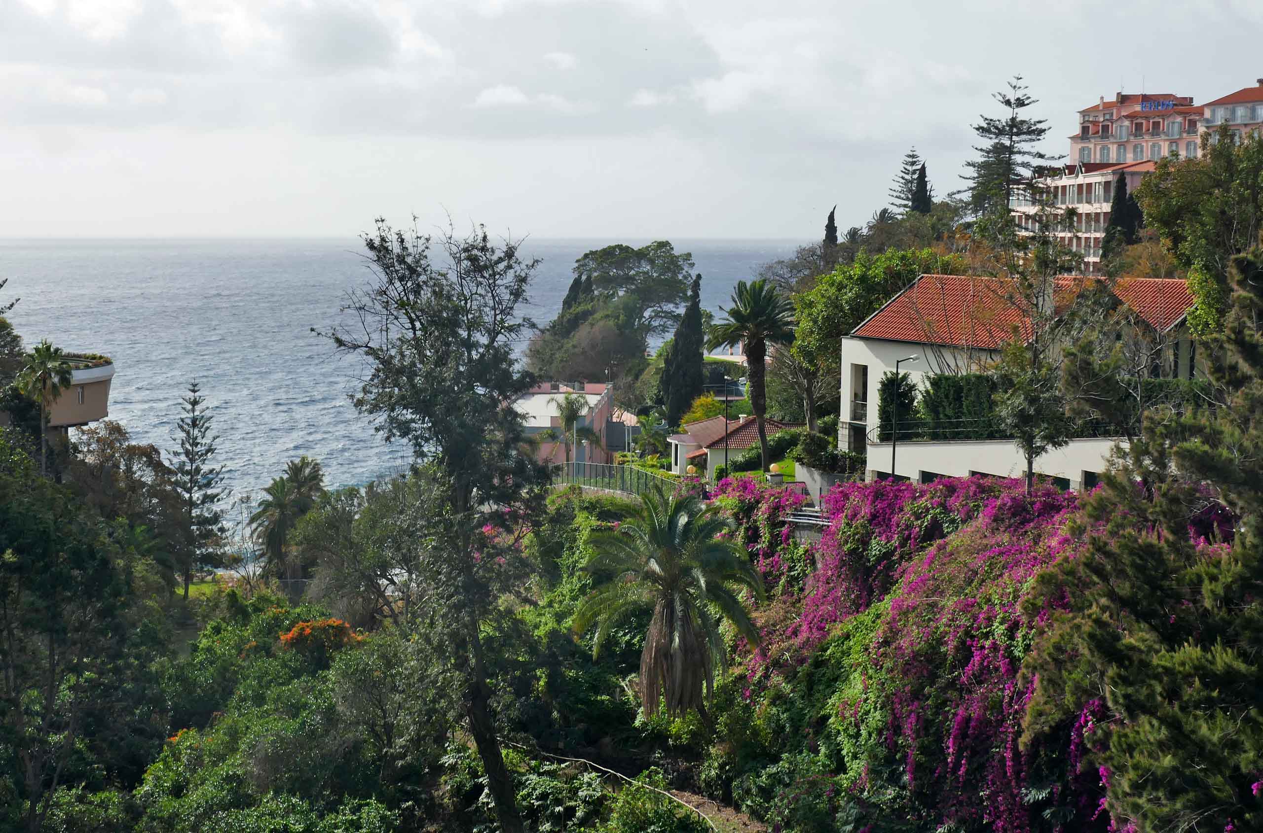 Vandretur til Camara de Lobos