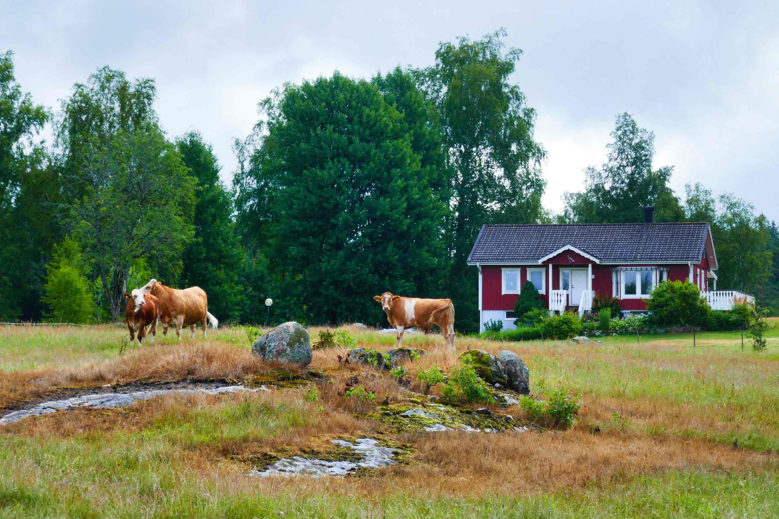 Bondegård