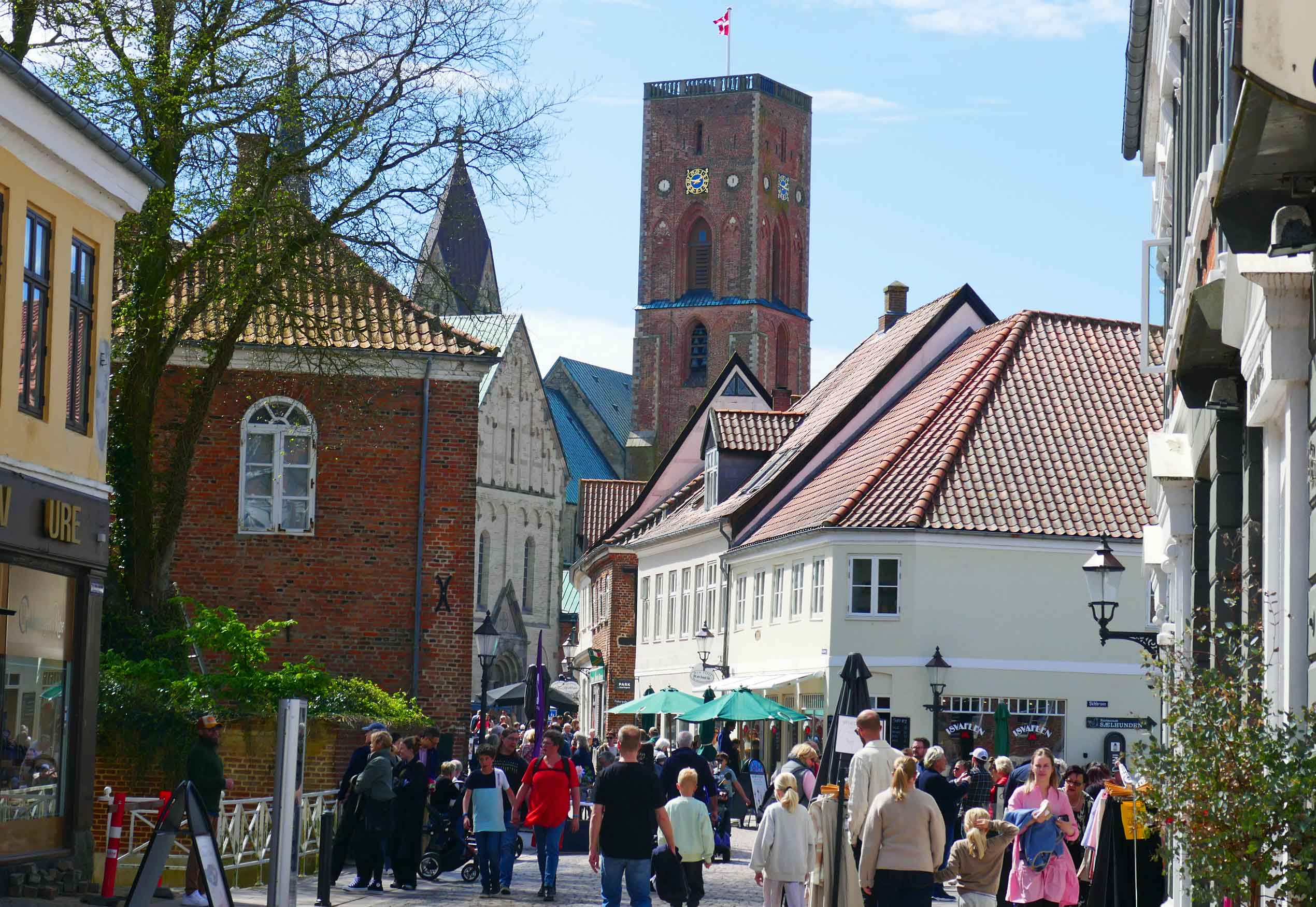 Ribe