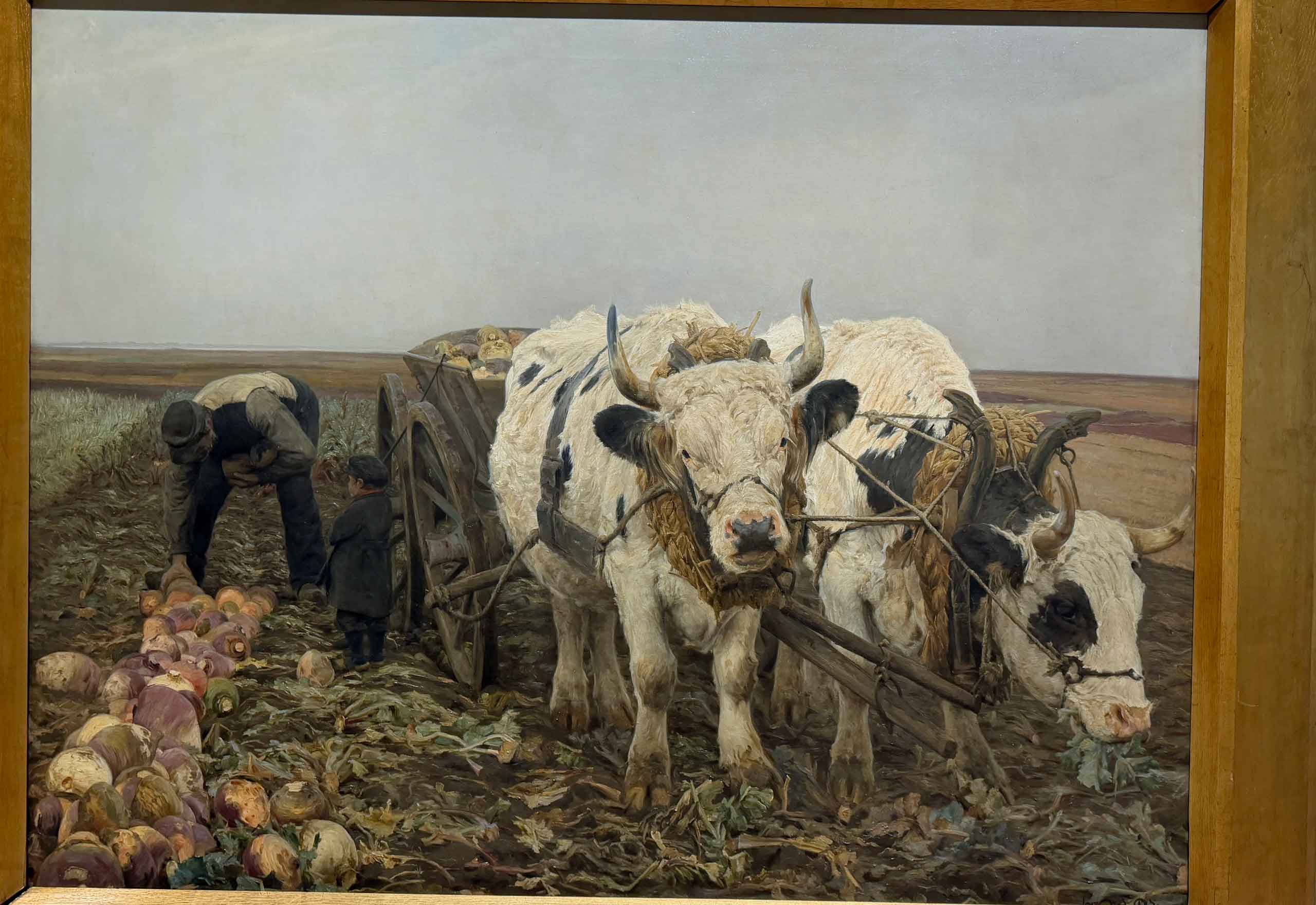 Roeoptagning