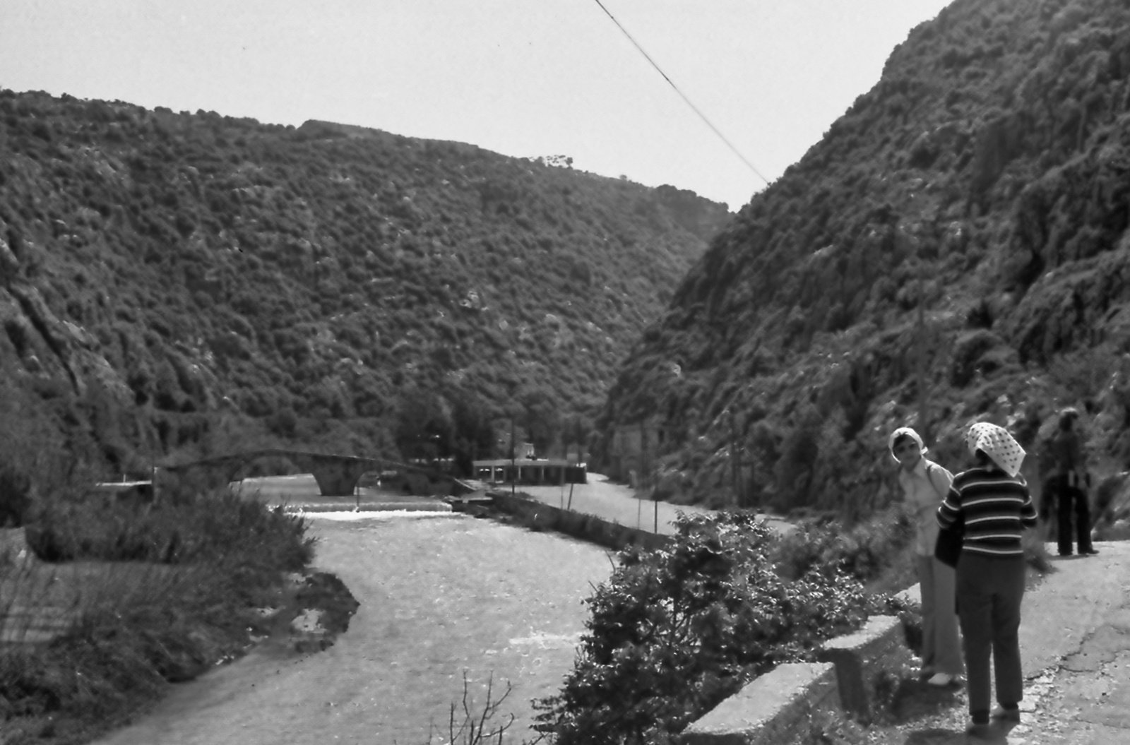 Dog River