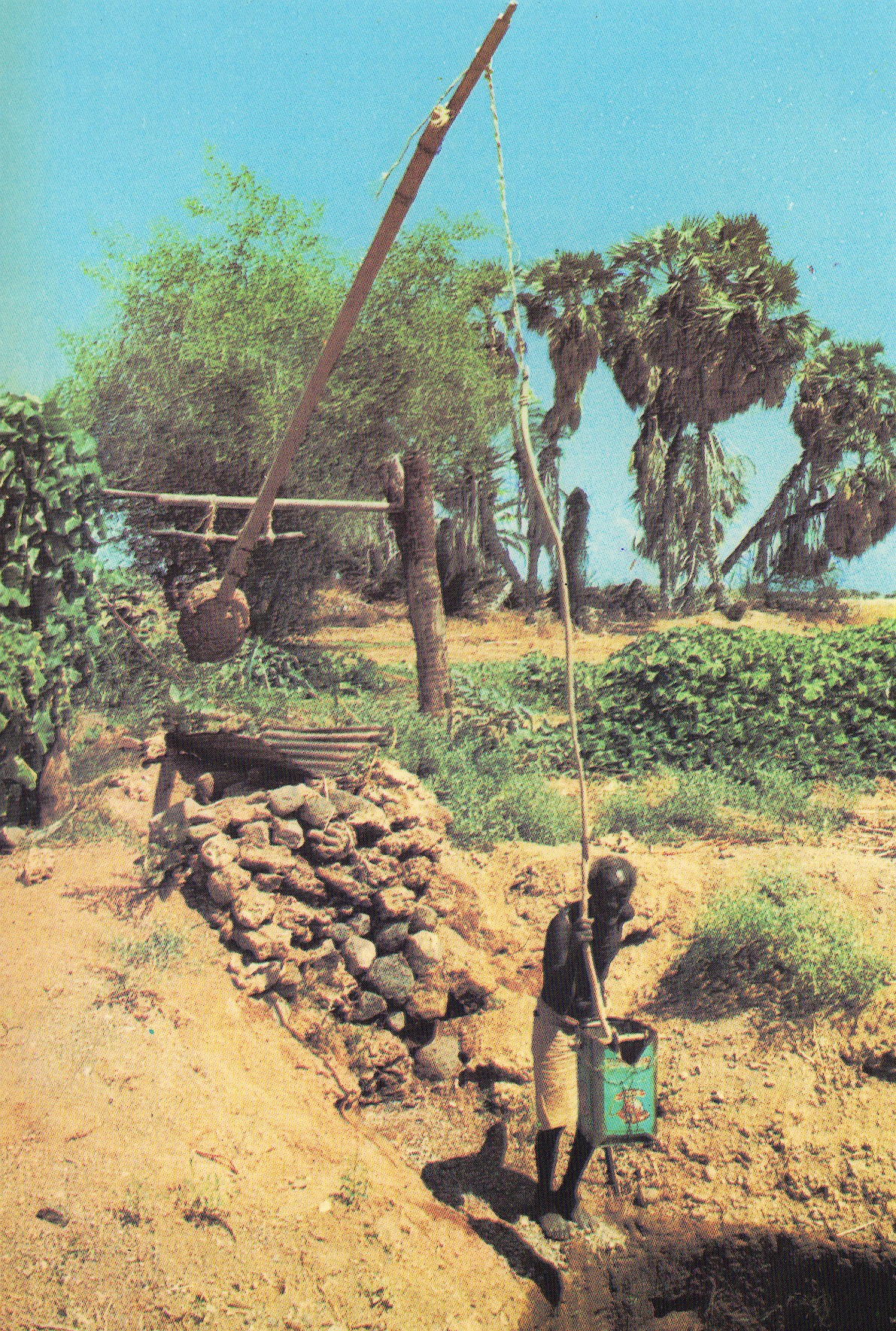 Brevkort til far og mor