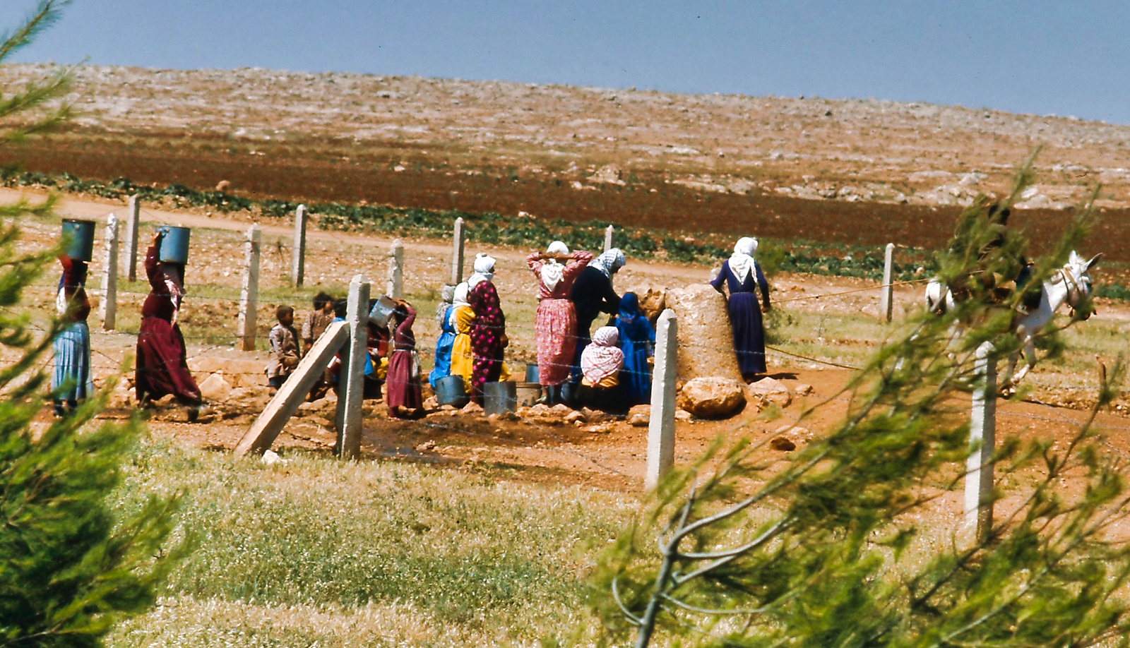 Damascus - Aleppo 1975