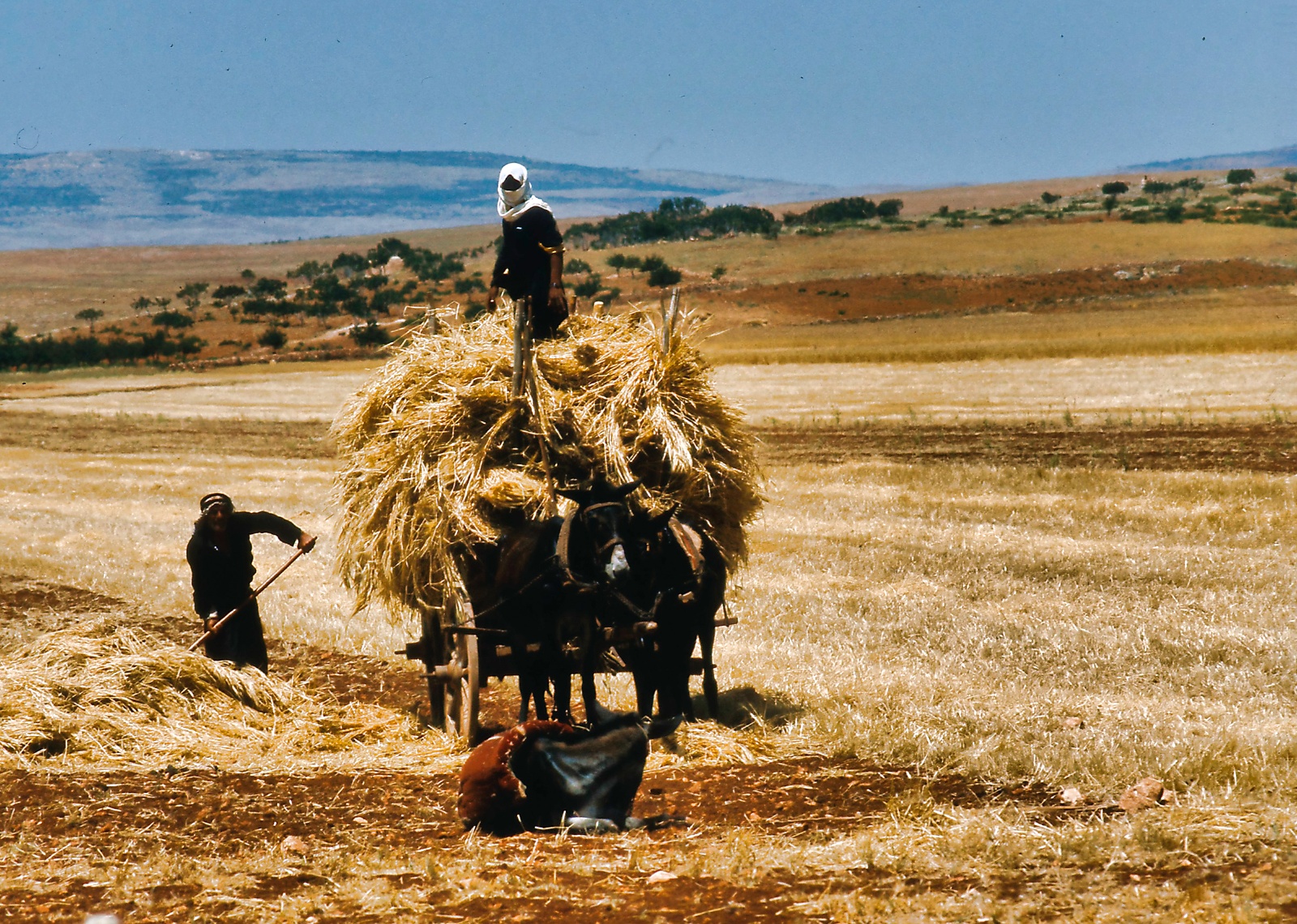 Damascus - Aleppo 1975