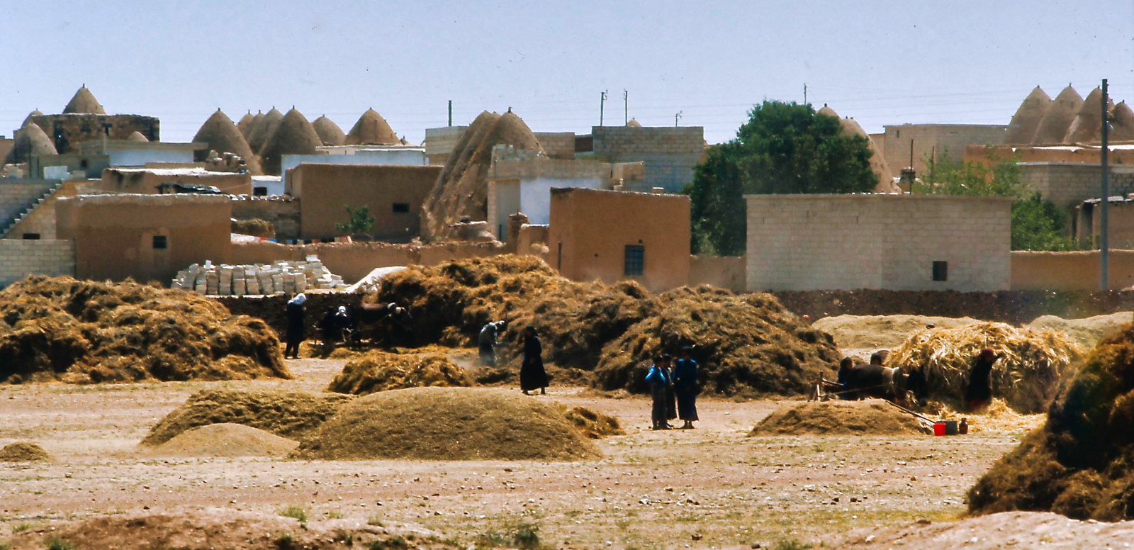 Damascus - Aleppo 1975