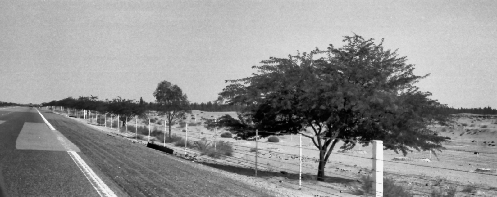 1974 Abu Dhabi