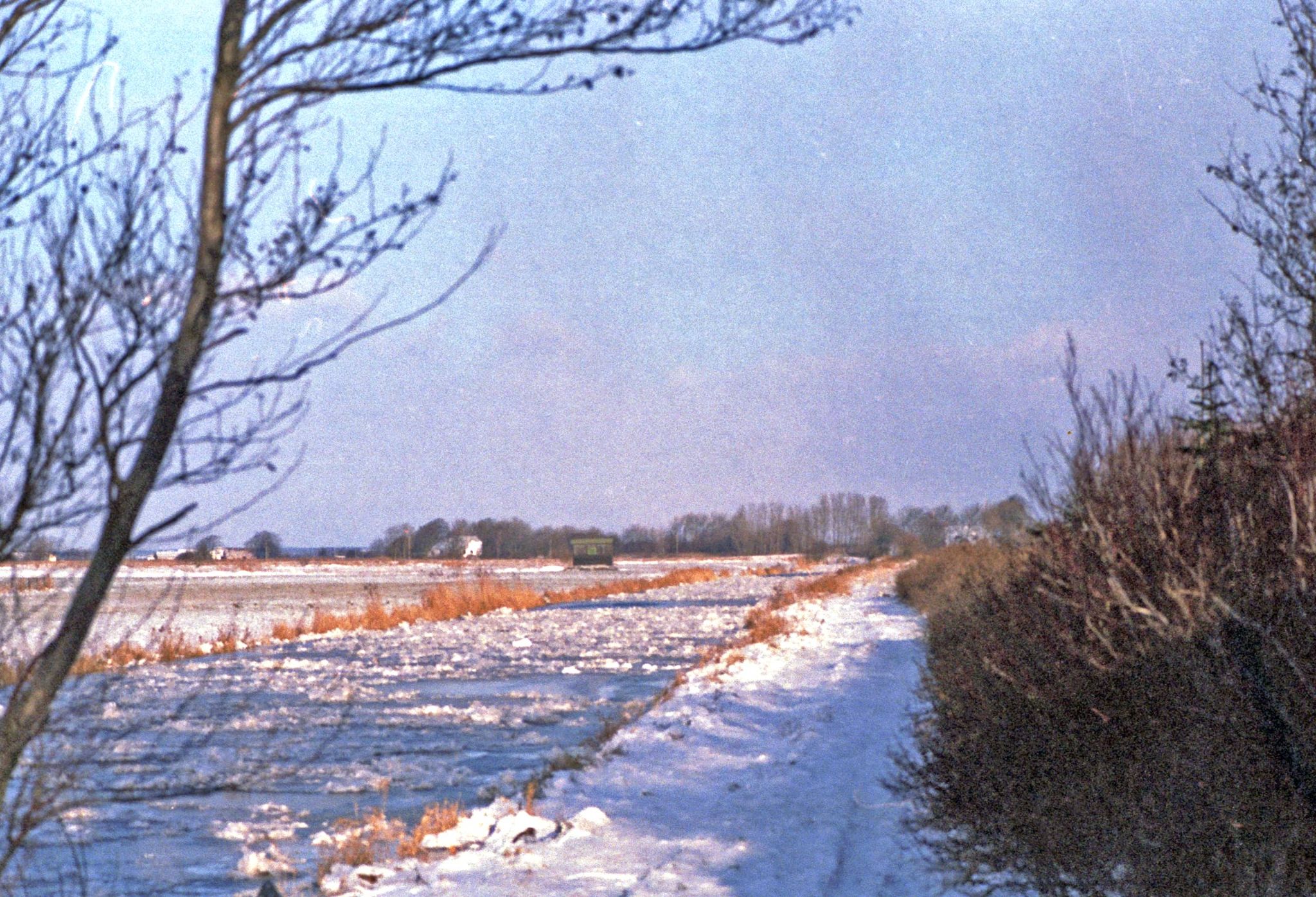Frosset å