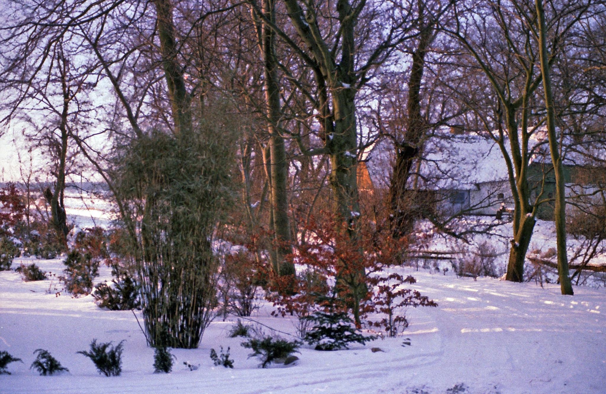 Indkørsel