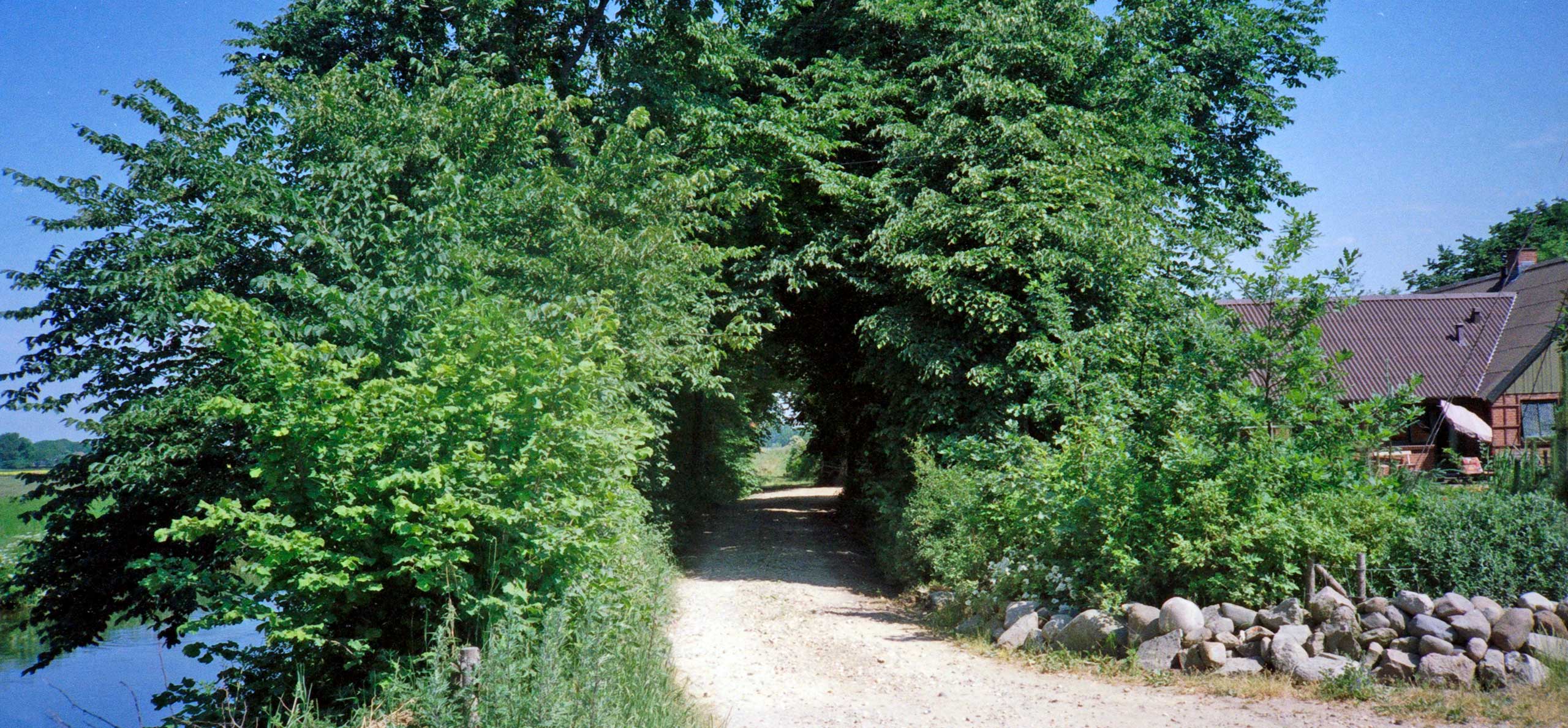 Indkørsel til Torsvej 2