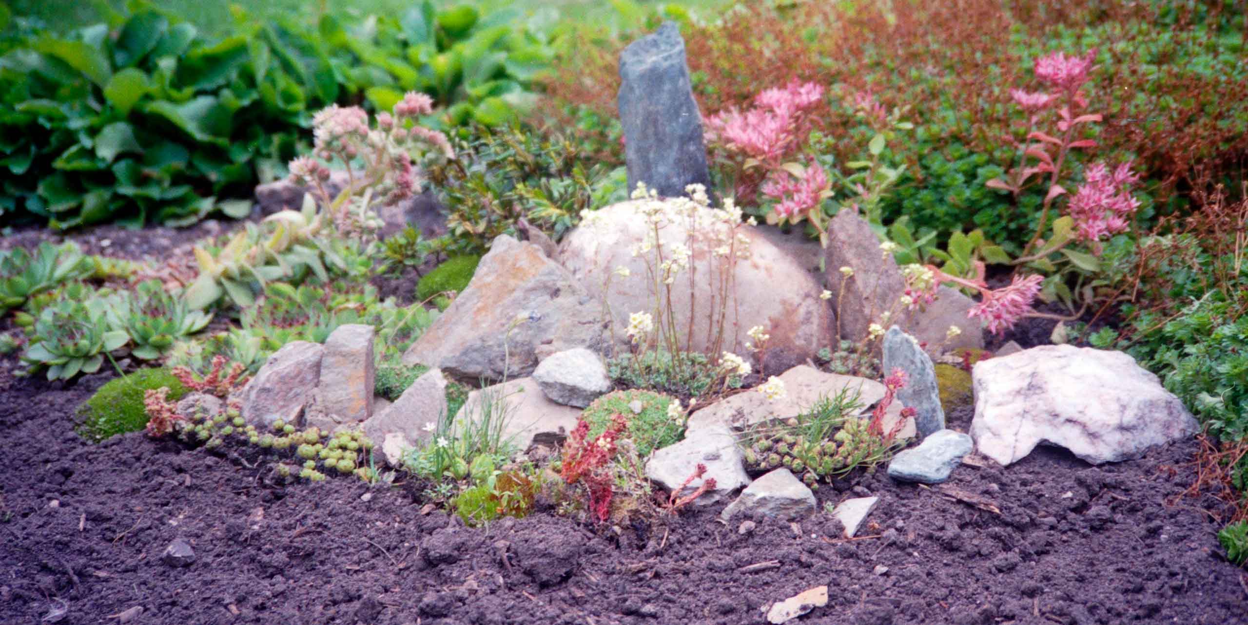 Alpe planter