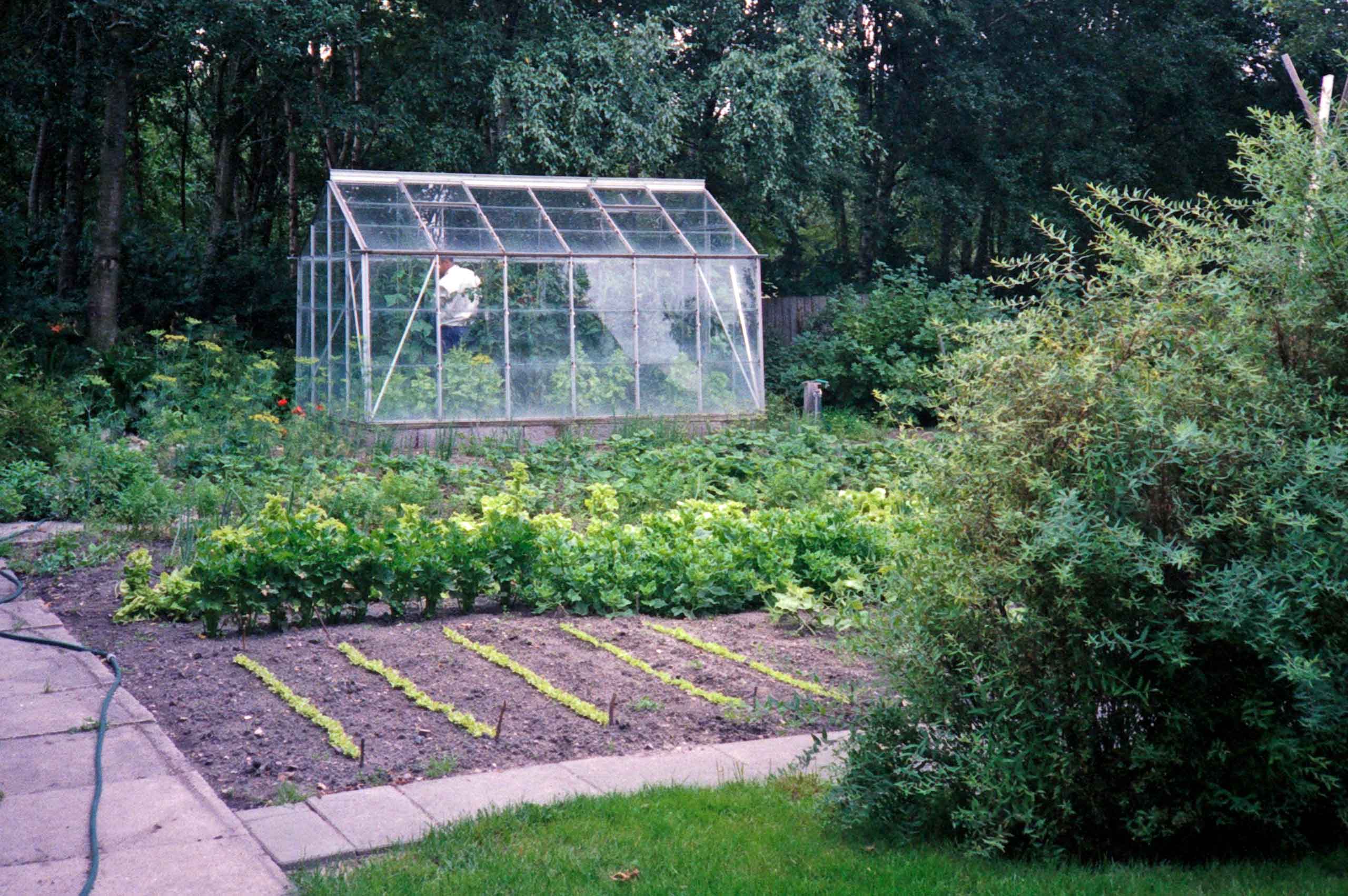 Køkkenhaven