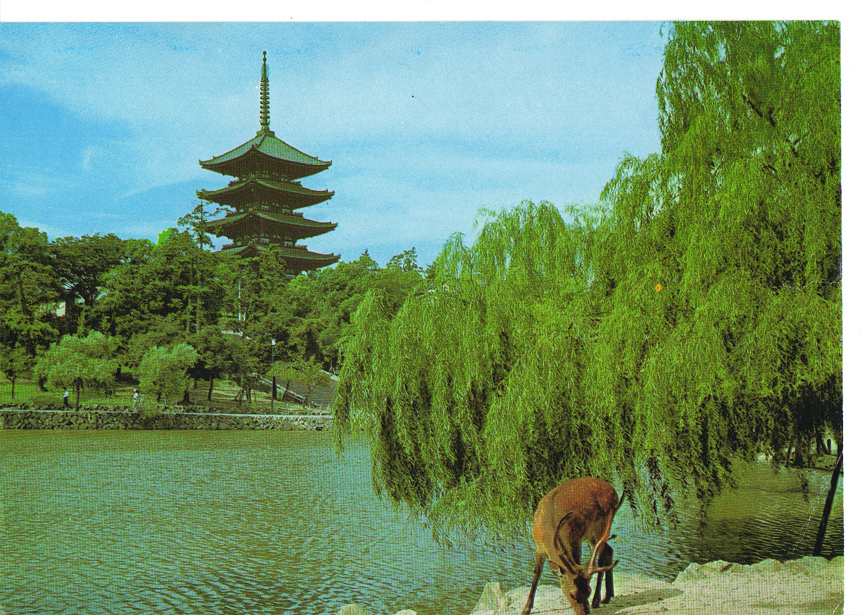 Postkort til far og mor