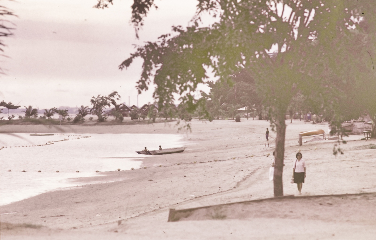 Saratosa strand