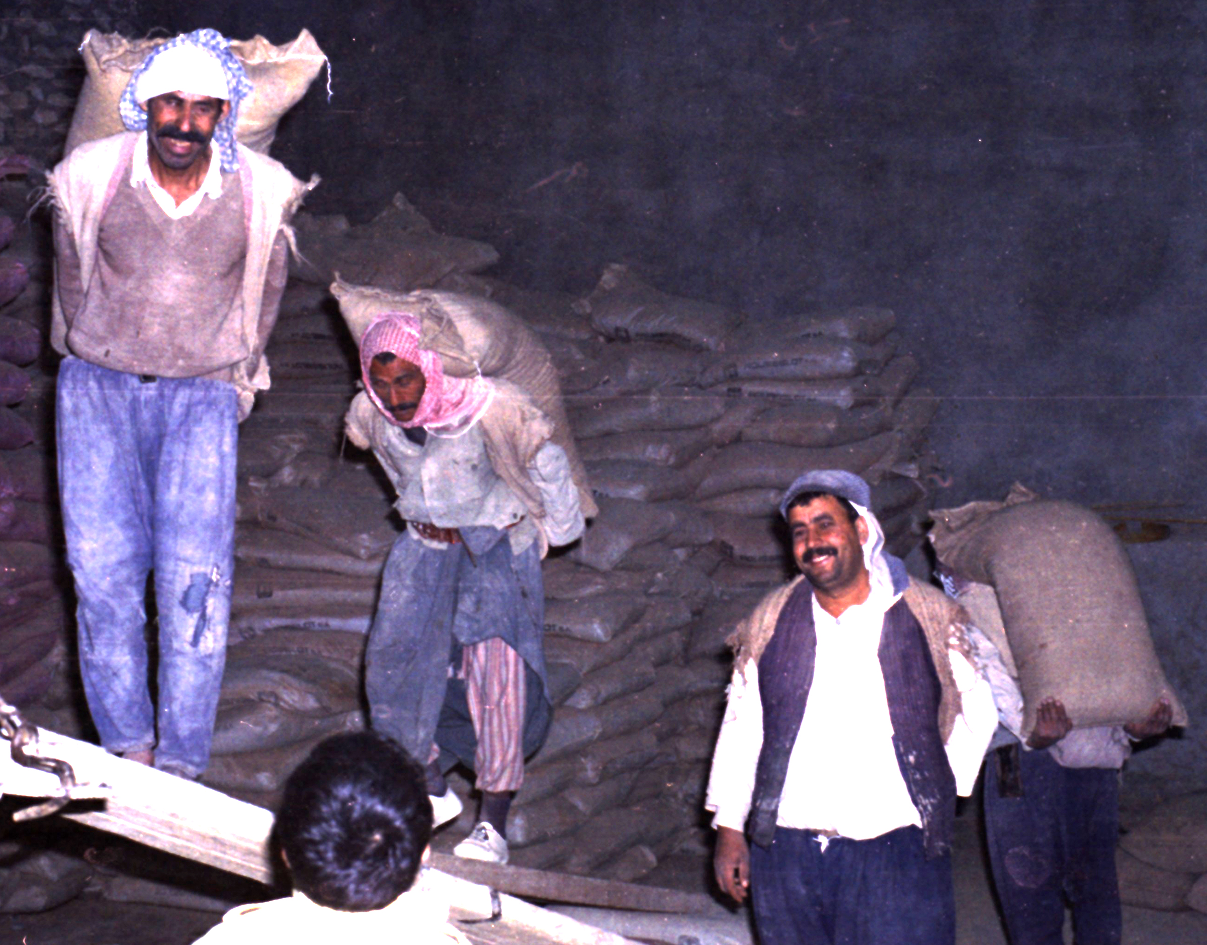 Mosul Fodermølle