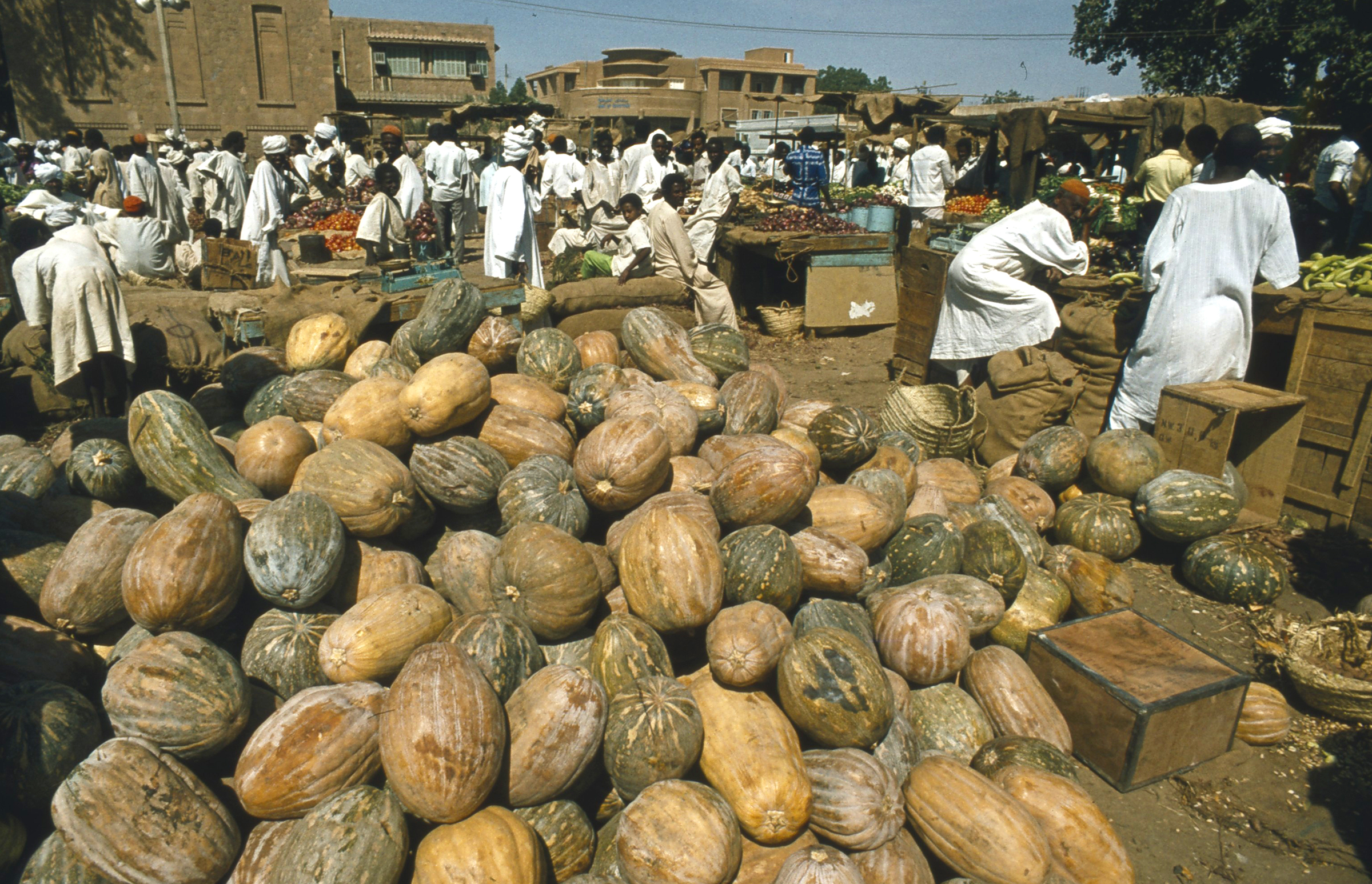 Khartoum Melonmarked
