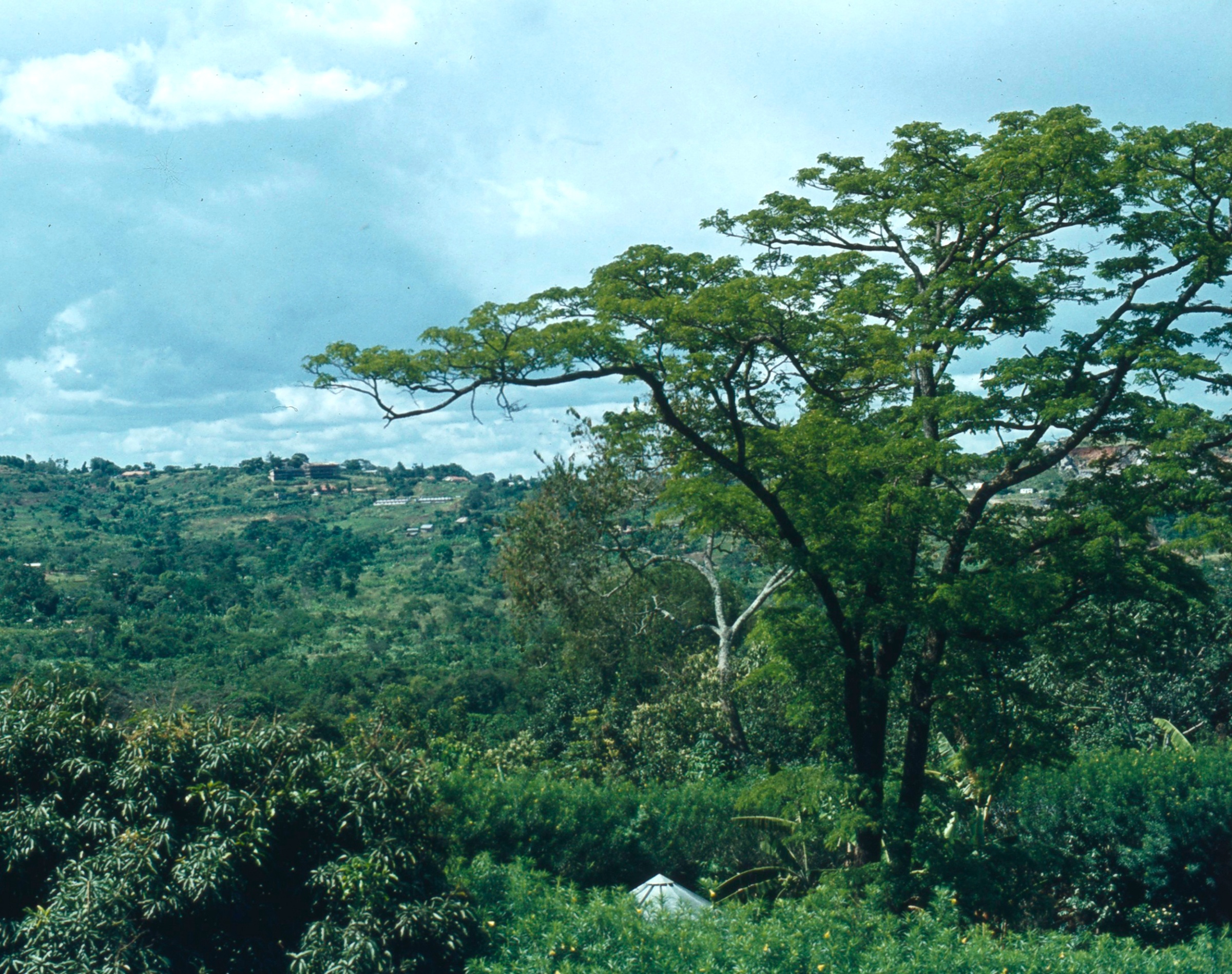 Uganda