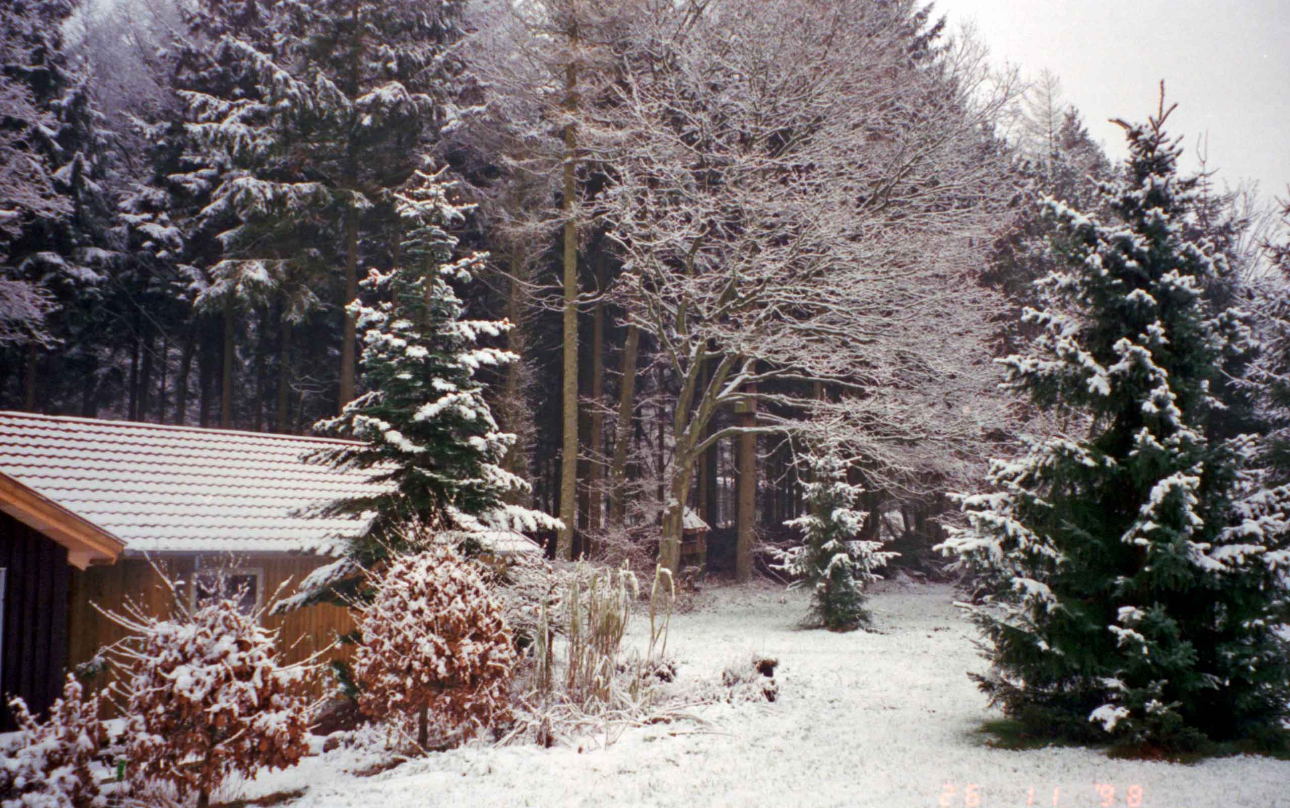 26. november