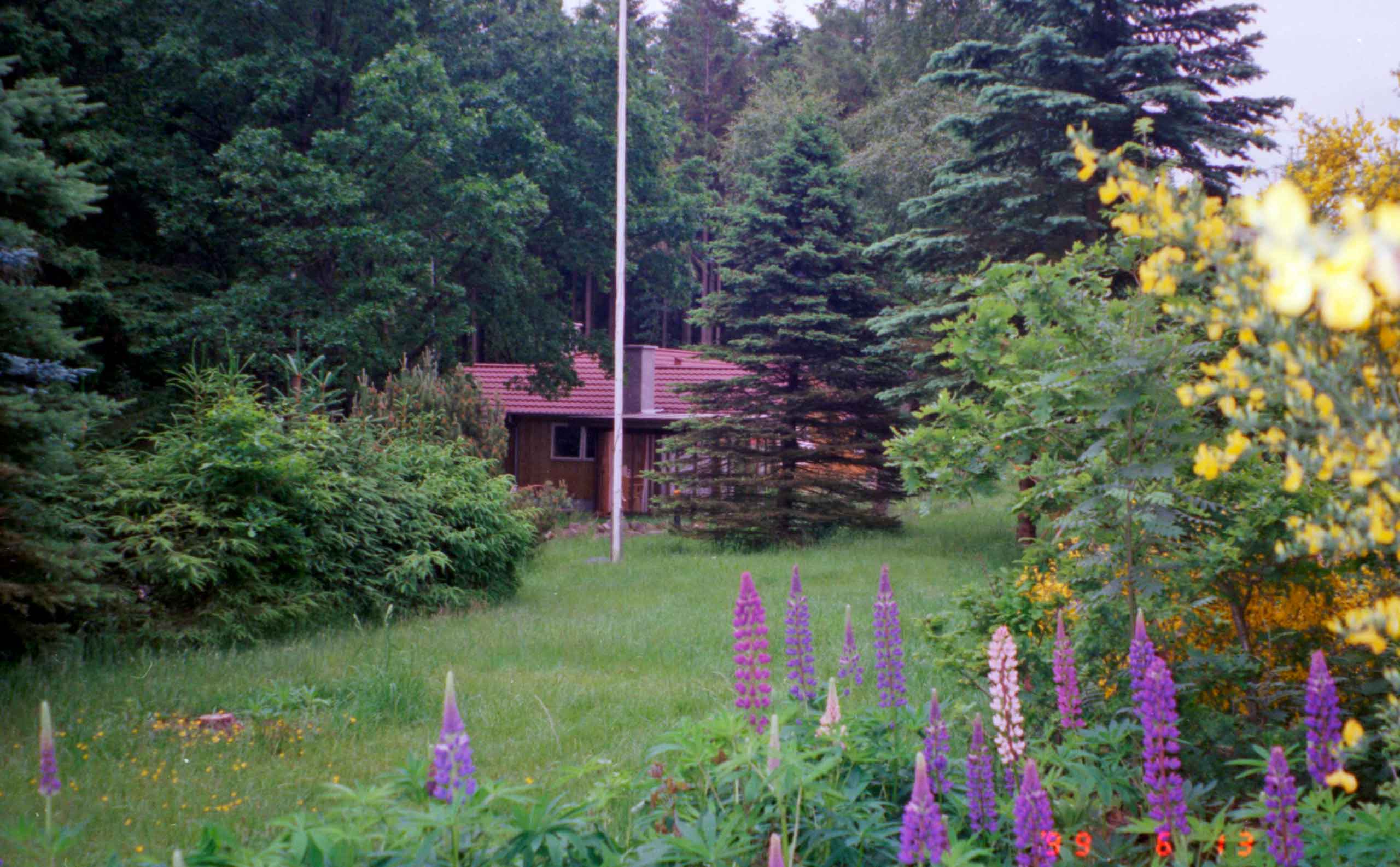 Huset i skoven