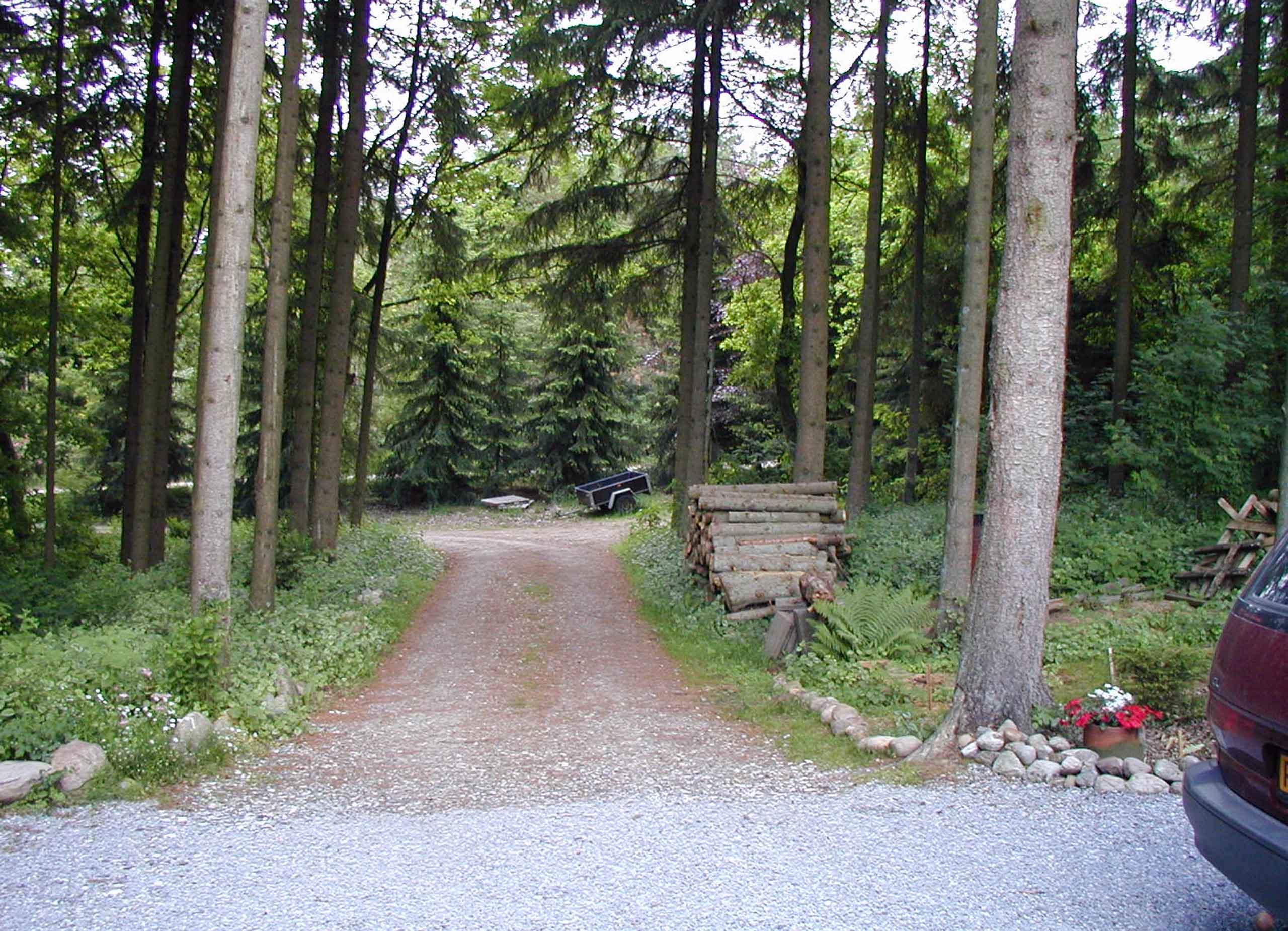 Omgivelserne
