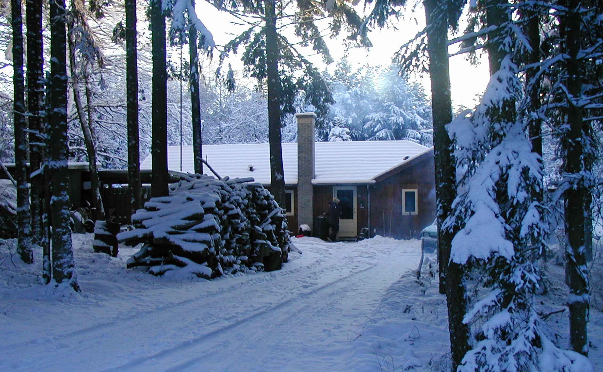 Nytårsaften