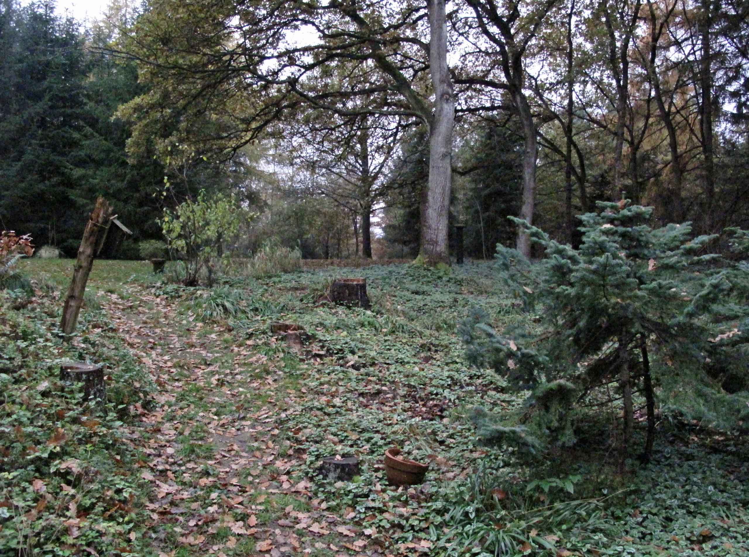 Efterårshaven