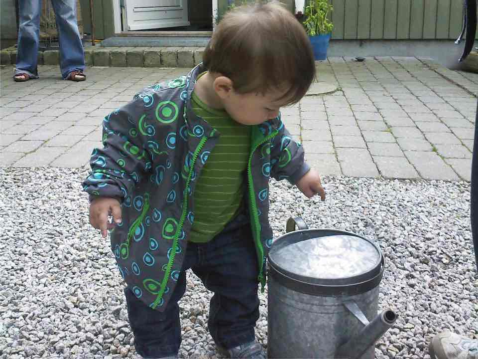 Luka i skoven