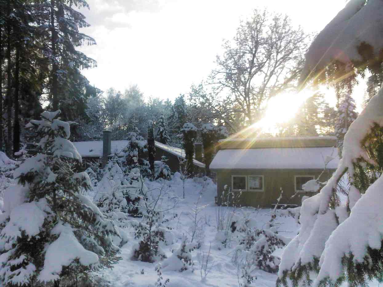 Vinter