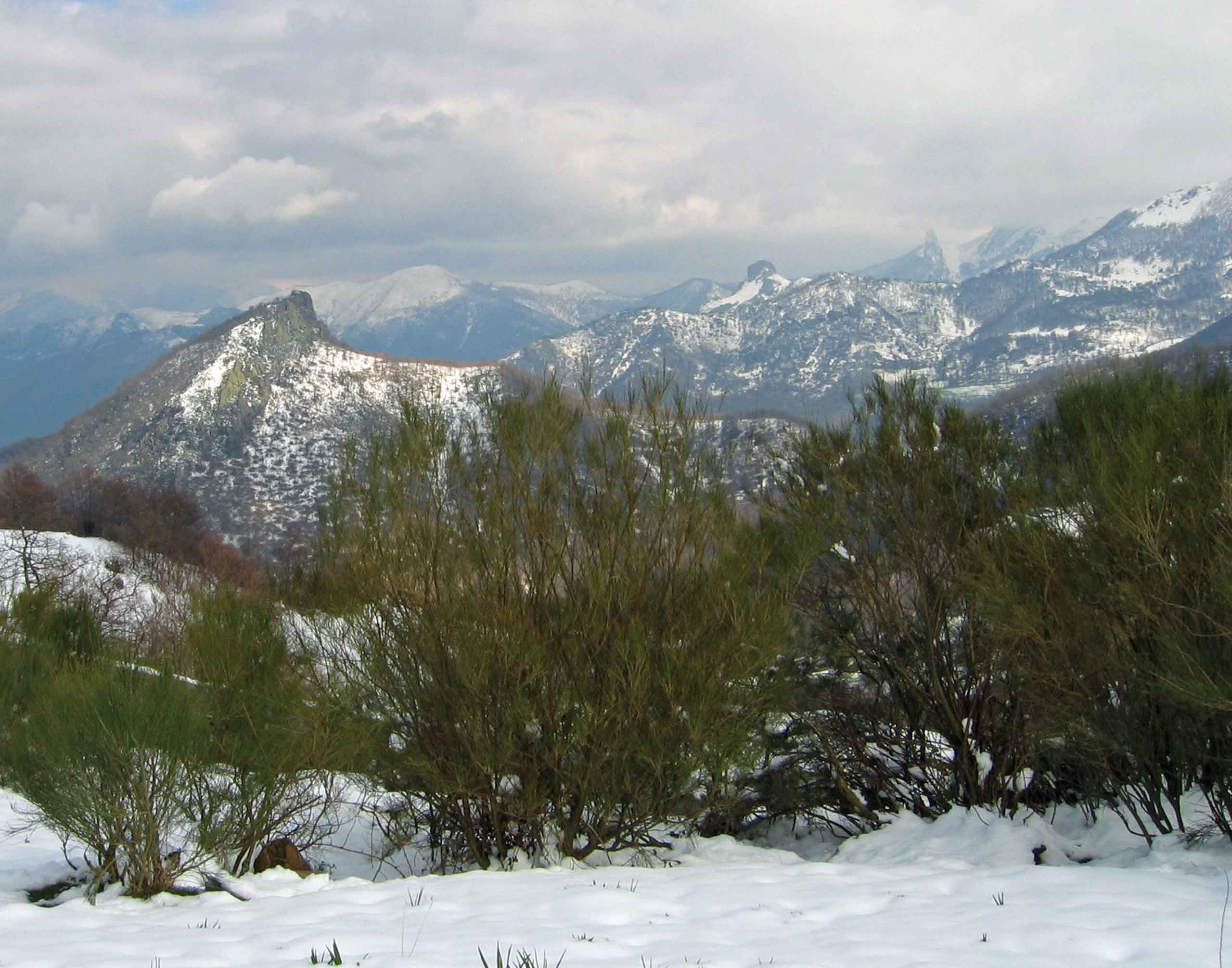 Picos de Europa