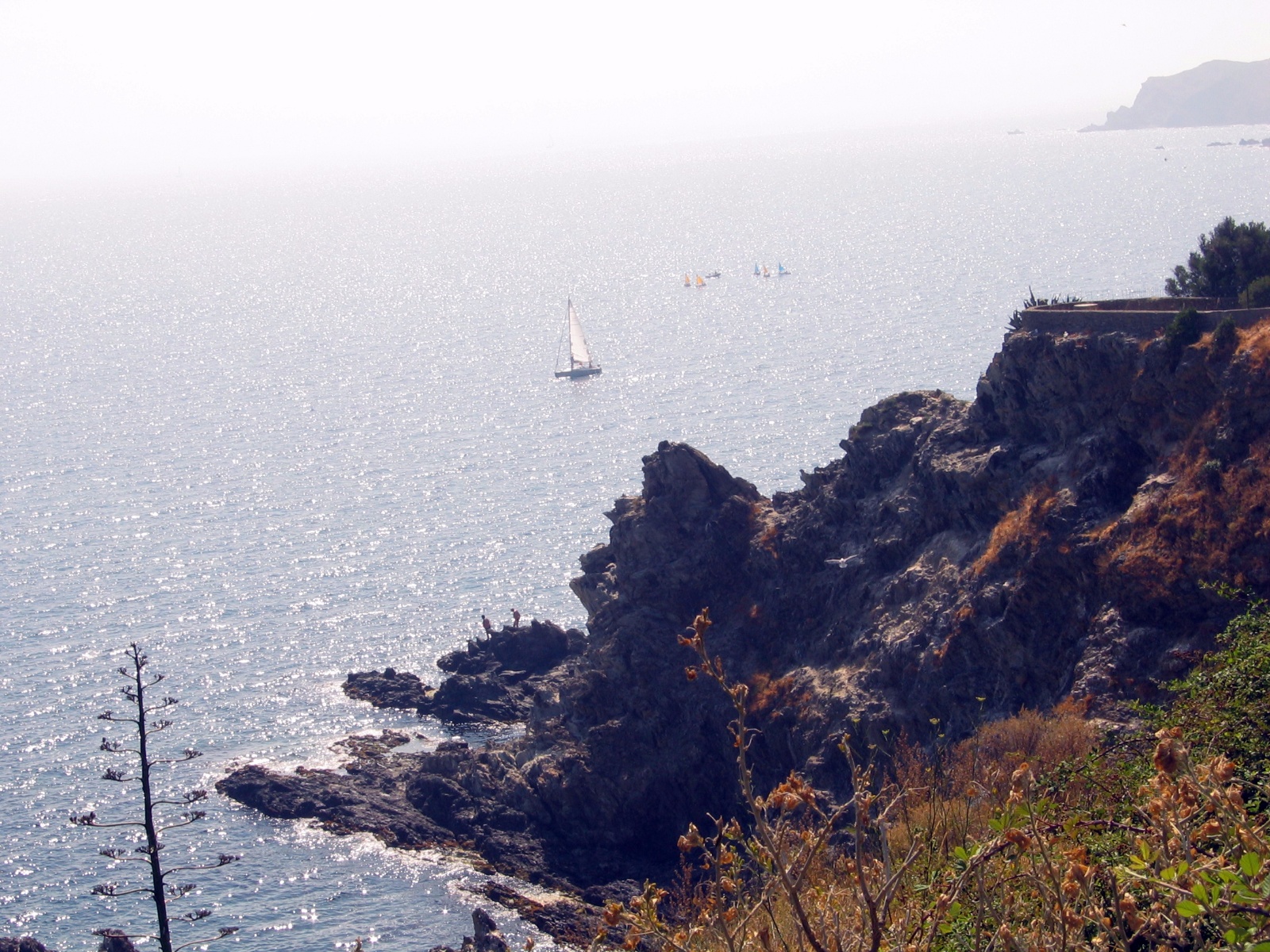 Middelhavet