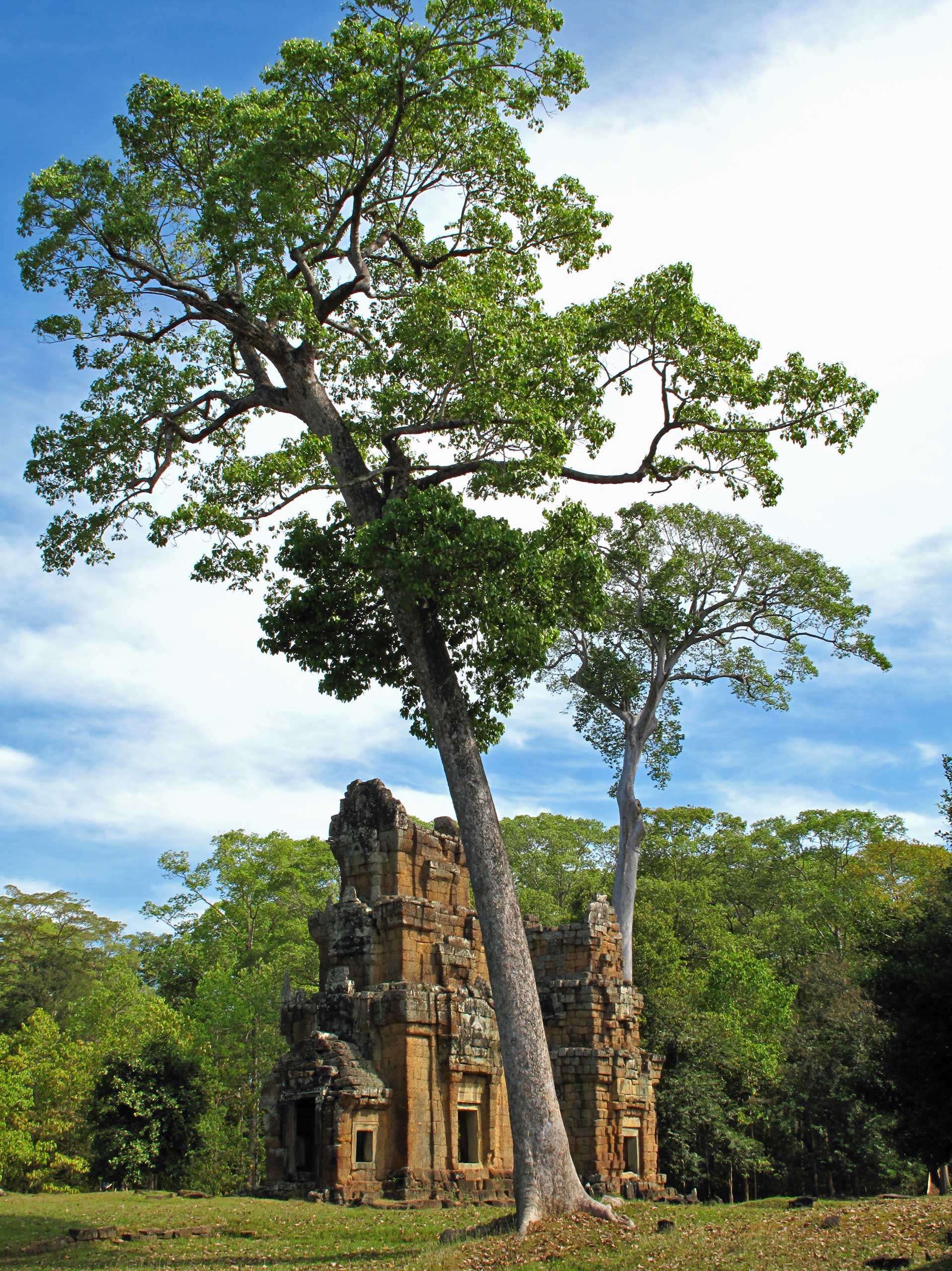 Angkor templer