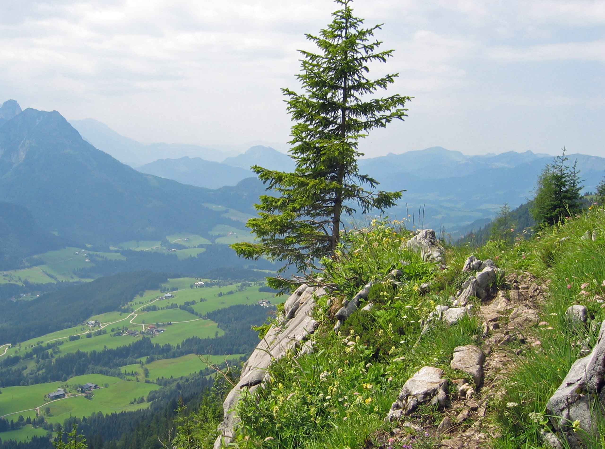 Dramatiske omgivelser