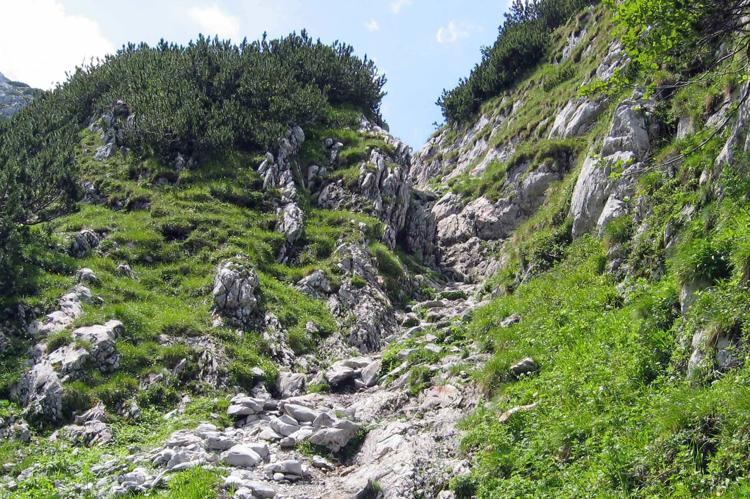 Udfordrende vandresti