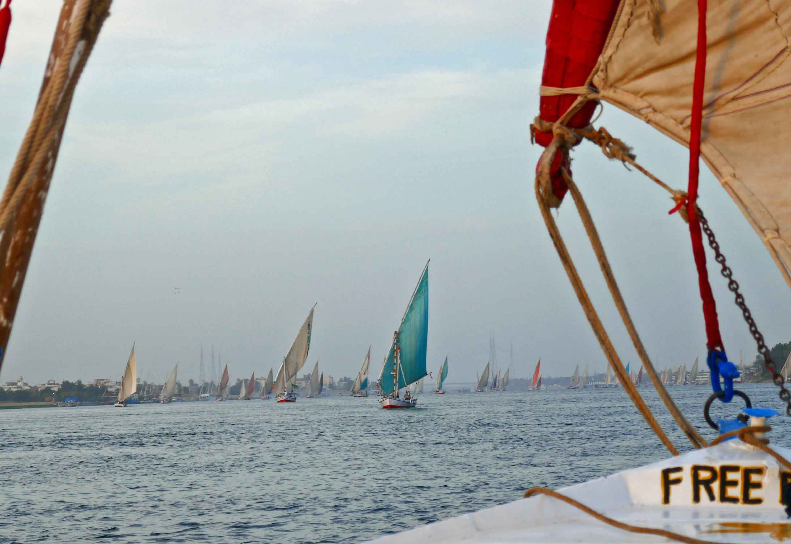 Felucca sejltur